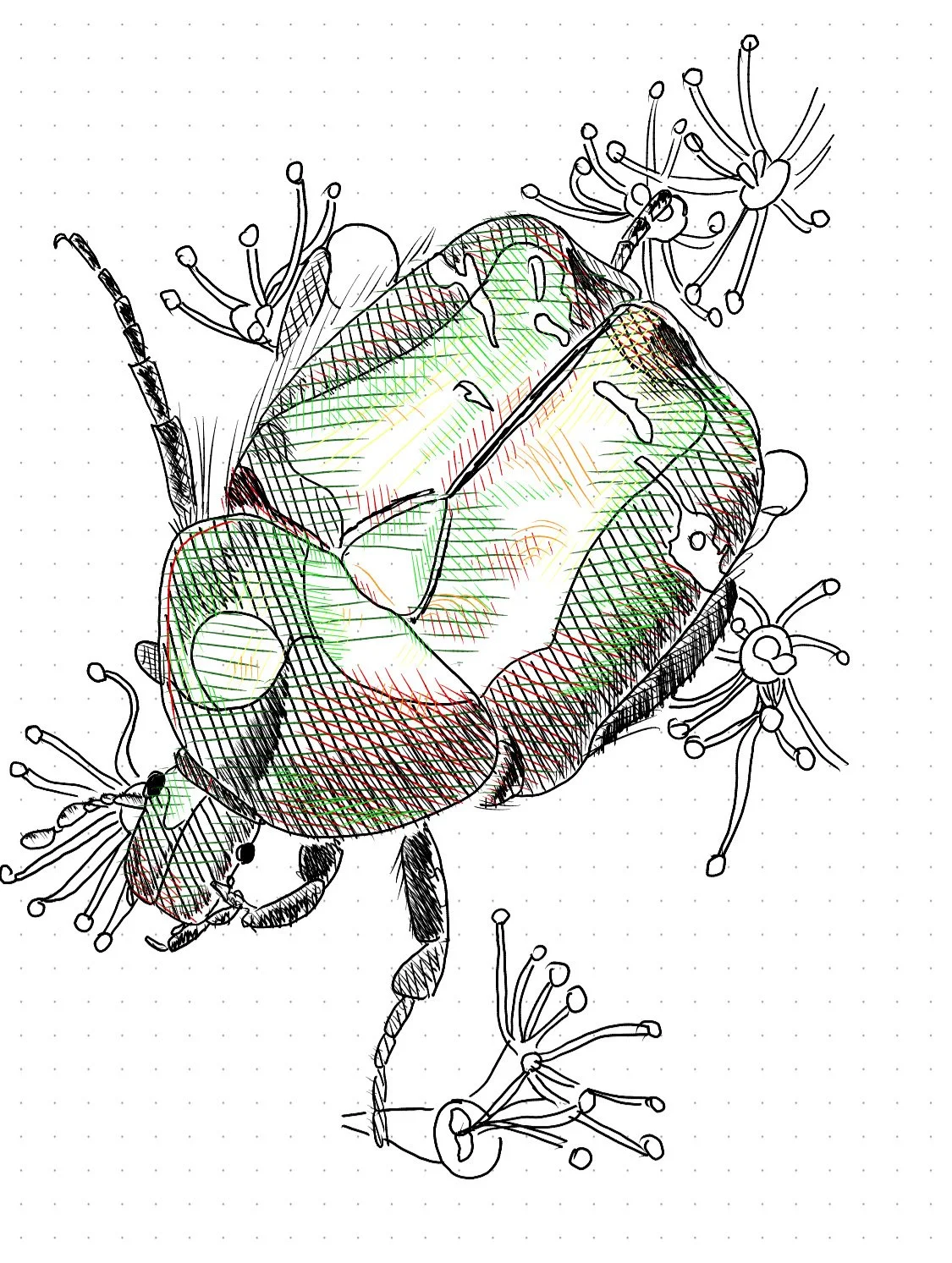 A digital drawing created on a Huion note: scarab beetle