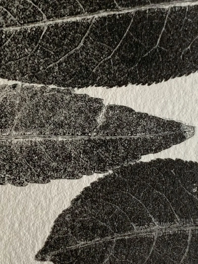 leaves print in black ink