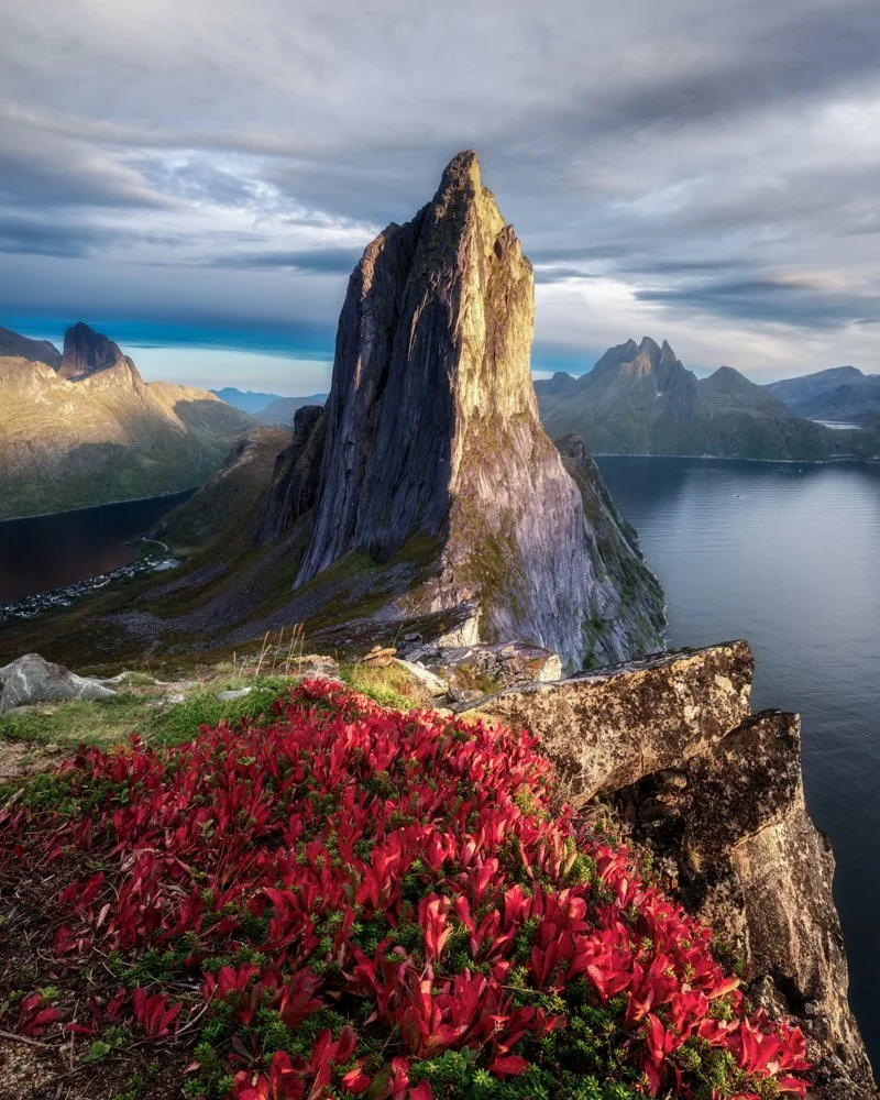 Senja_Segla