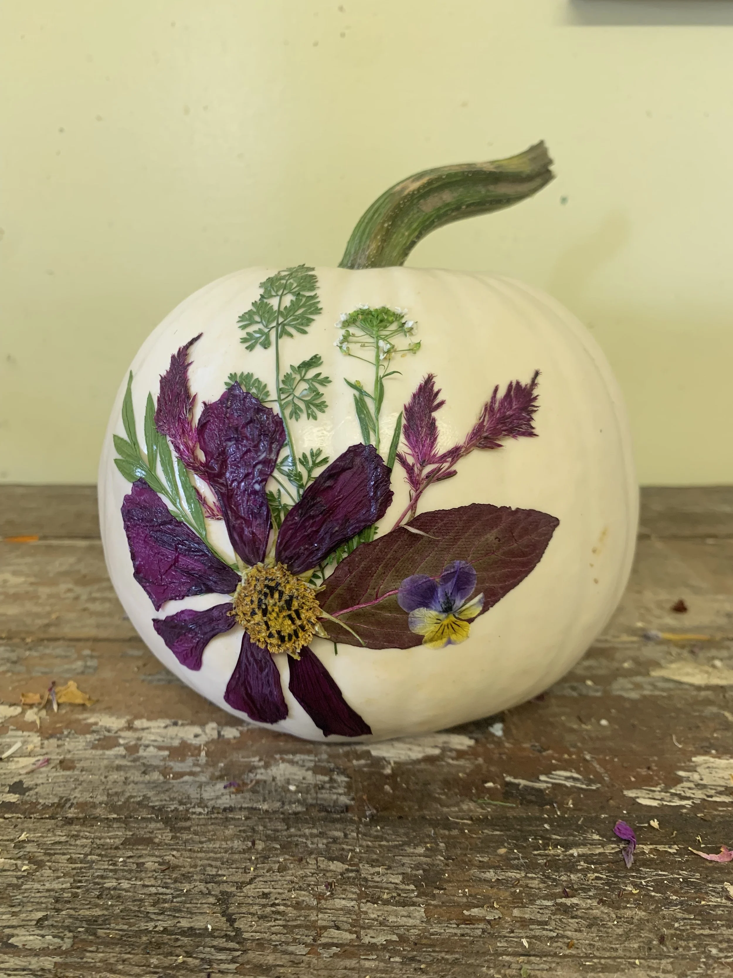 flower pumpkin.jpg (Copy)