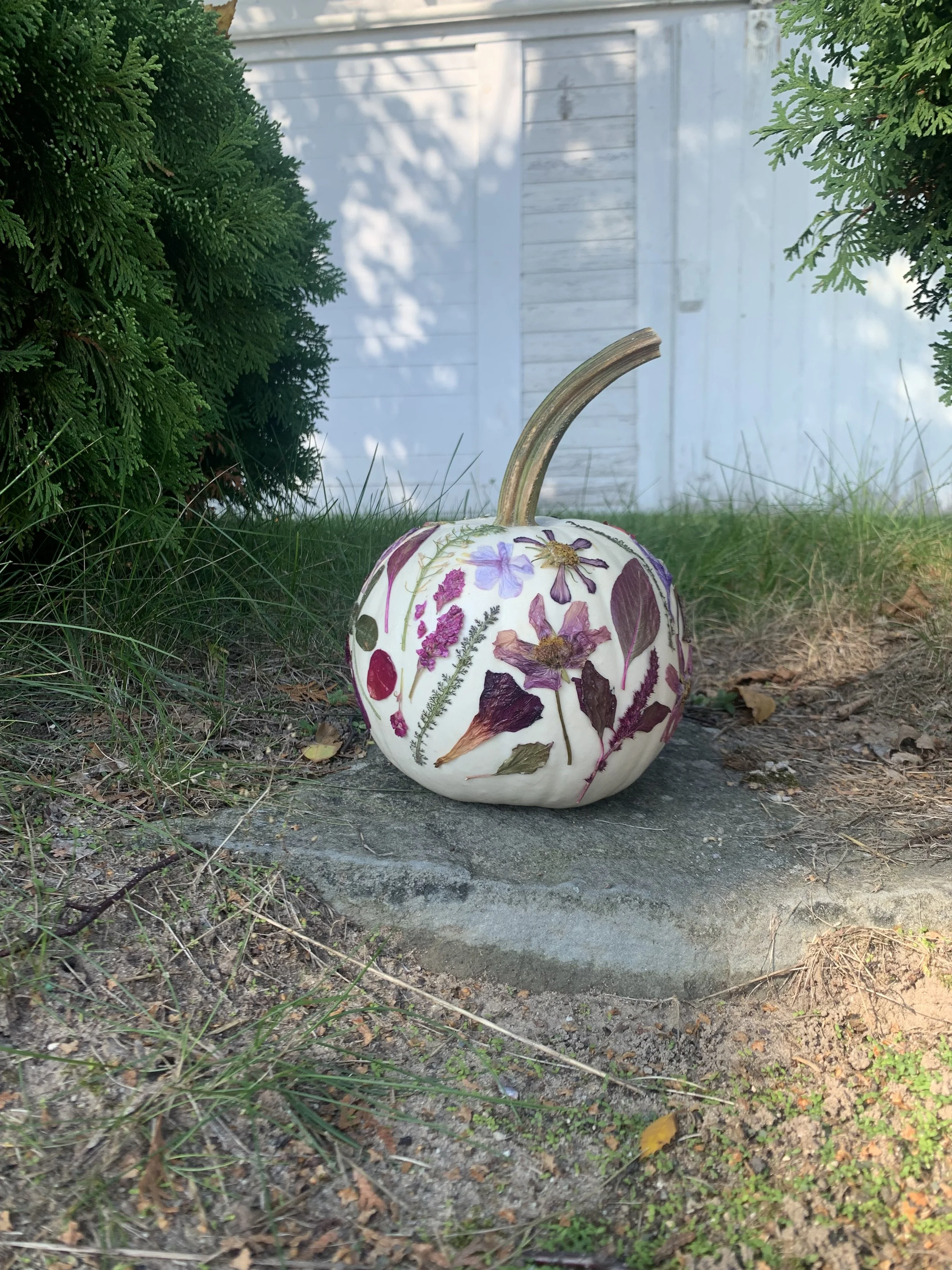 flower pumpkin2.jpg (Copy)