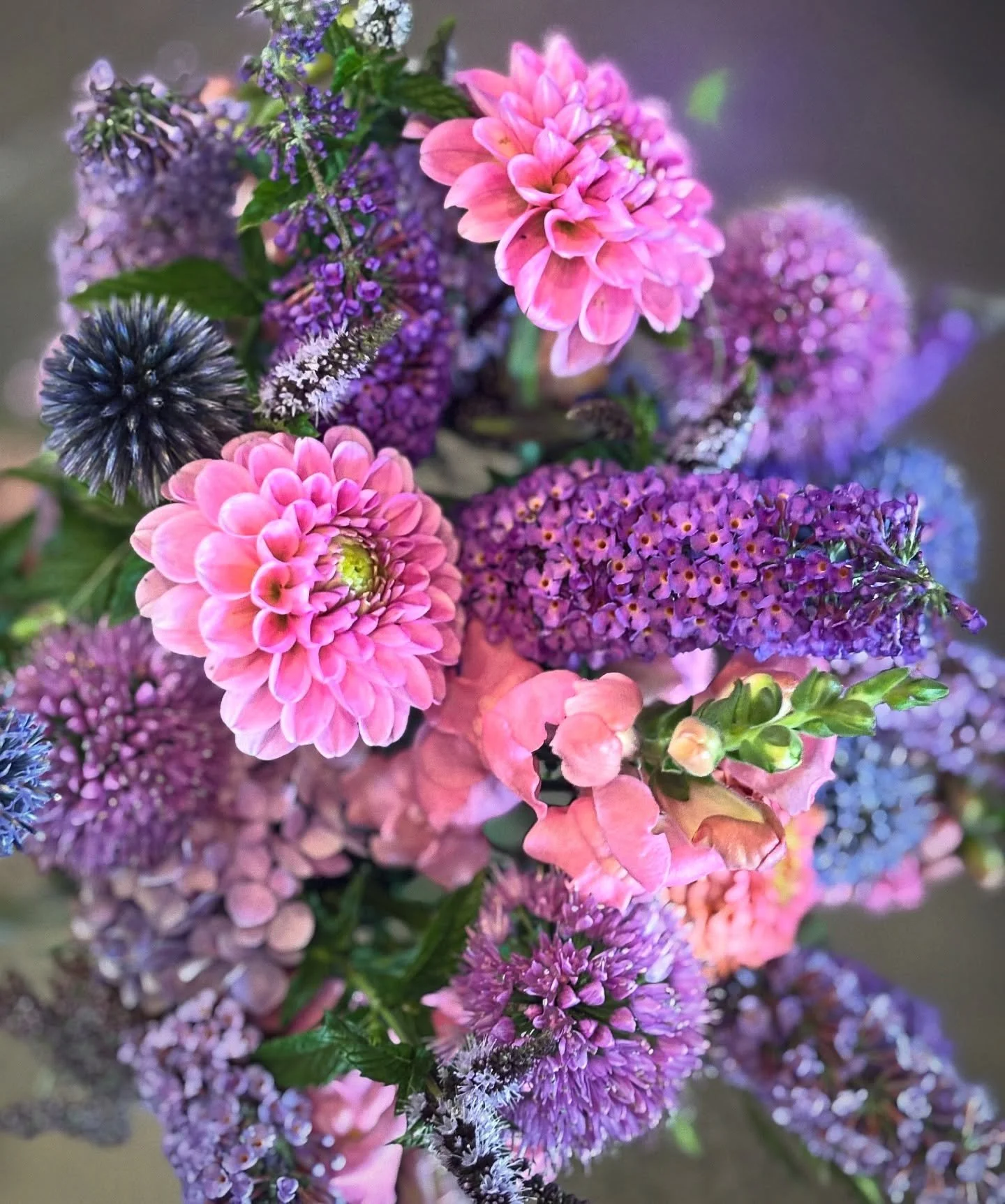 Pure Moondance Magic ✨

These stunning jewel toned flowers pulled together by @justineamelia are chefs kiss 🤌🏽

We delivered these locally &amp; sustainably grown blooms to our friends at @waterbearer.coffee today to add just that extra bit of magi