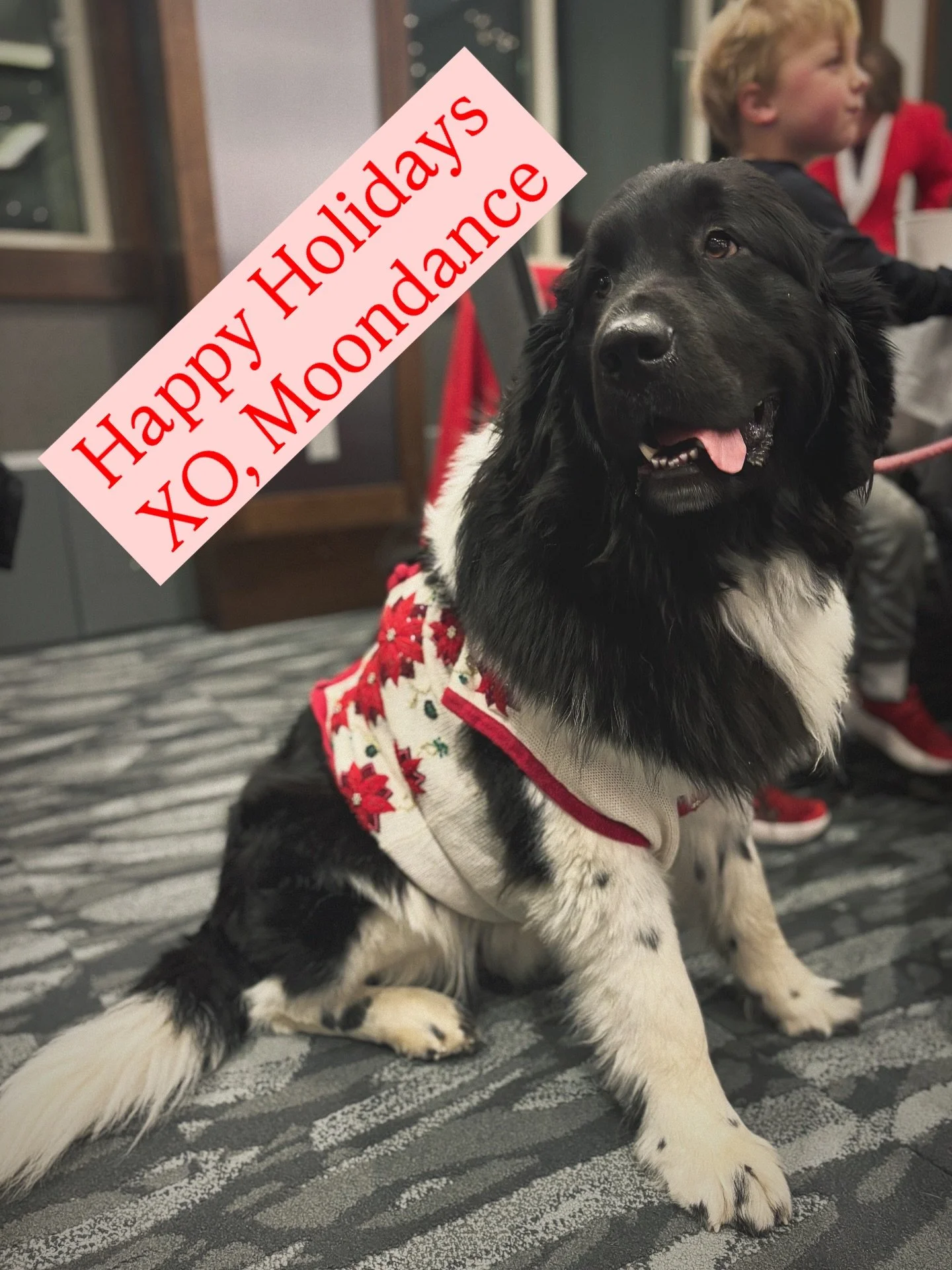 Happy Holidays from our little flower farm.

We&rsquo;re feeling deeply grateful (&amp; also pretty tired if we&rsquo;re being honest!), for this season full of pressed blooms, creativity, snowy boots/ paws, Home Alone (x1000) and so many snuggles. 
