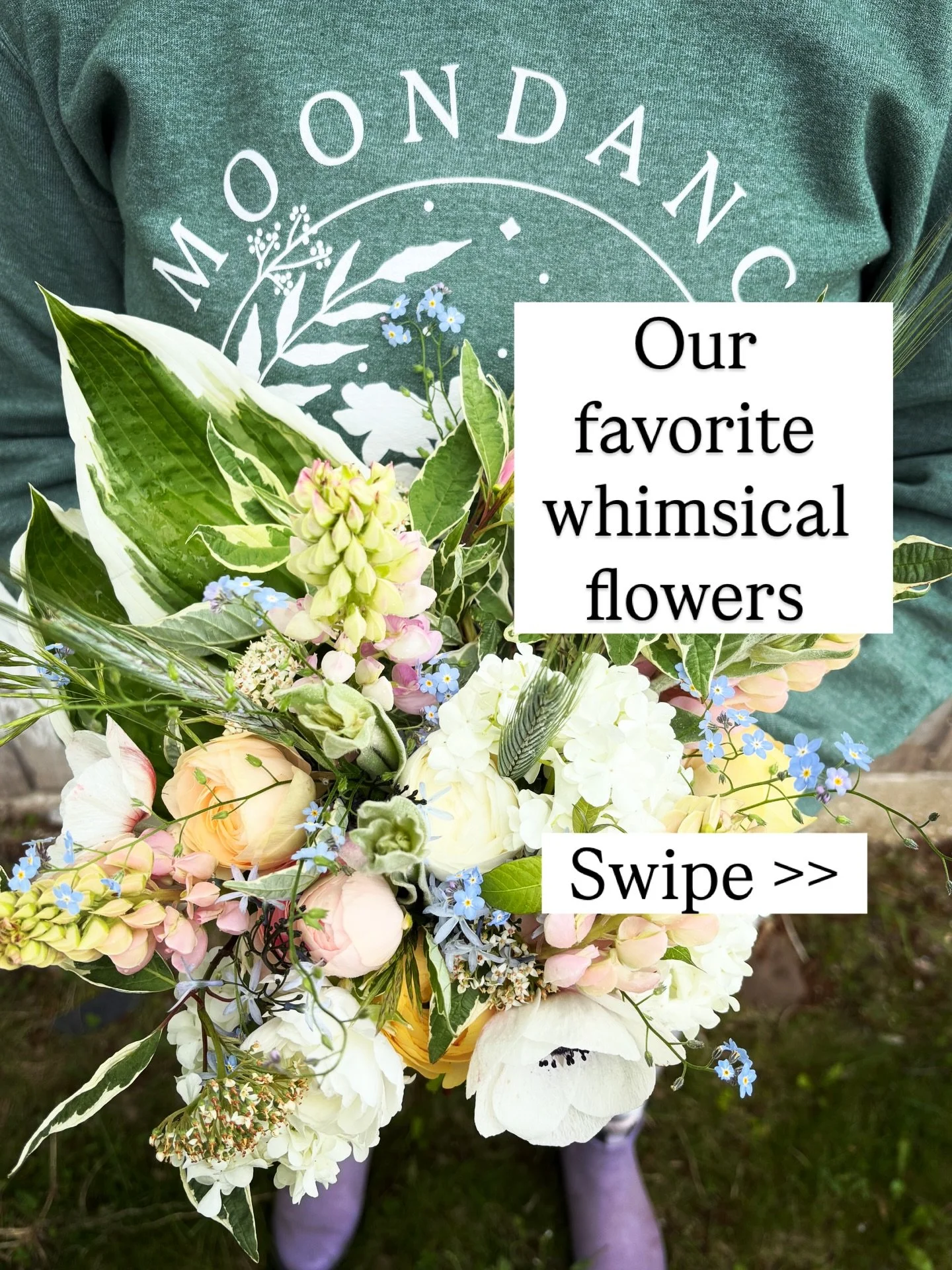 Whimsy is basically in the DNA of everything we do at Moondance.

It&rsquo;s been a chilly week up in Northern Michigan - 2 snow days already for Farmer Levi with one more tomorrow! While we try to embrace the winter as much as we can, sometimes it h