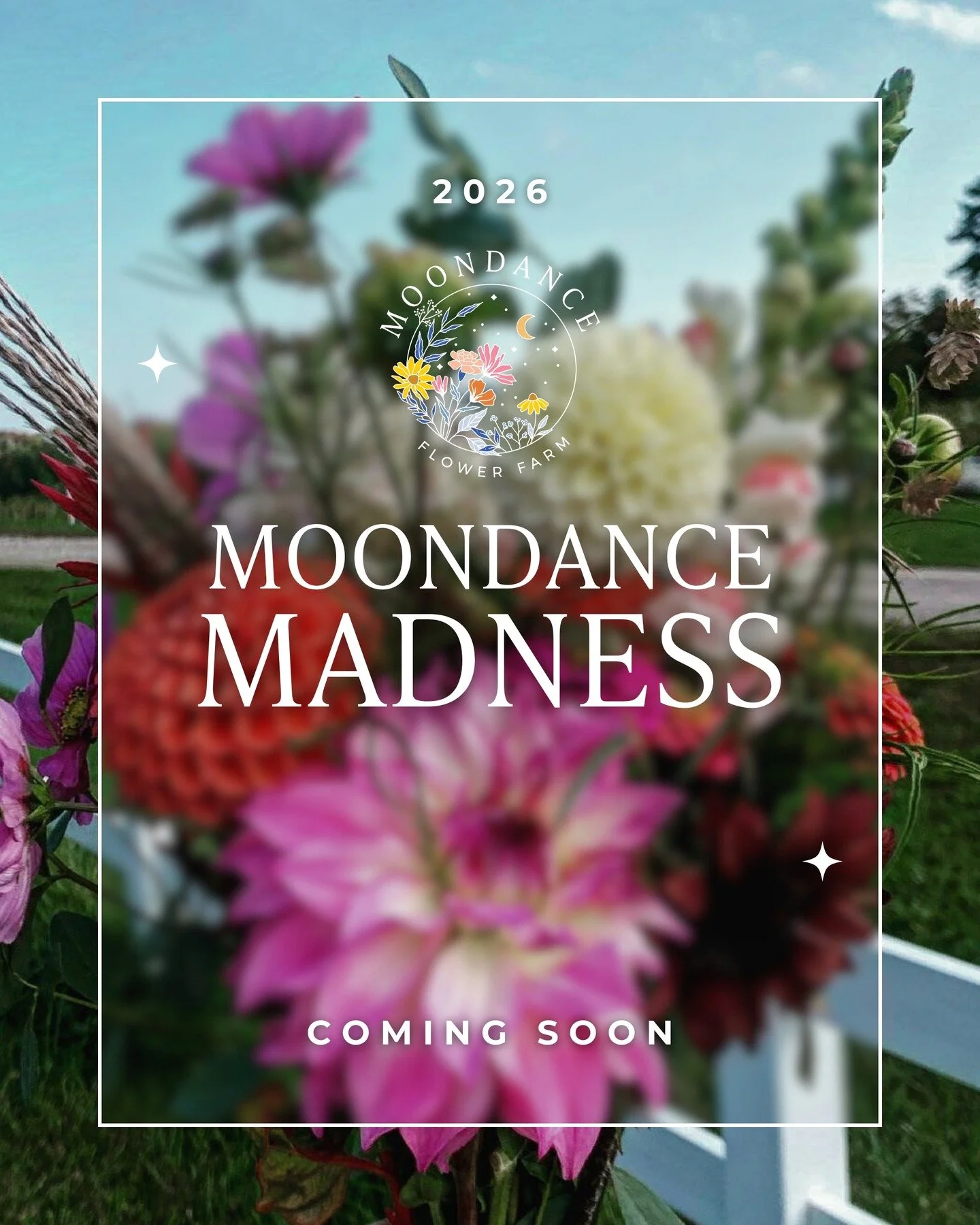 A little Moondance Madness magic is on the way&hellip; 👀
Stay tuned.

#moondanceflowerfarm
#moondancemadness