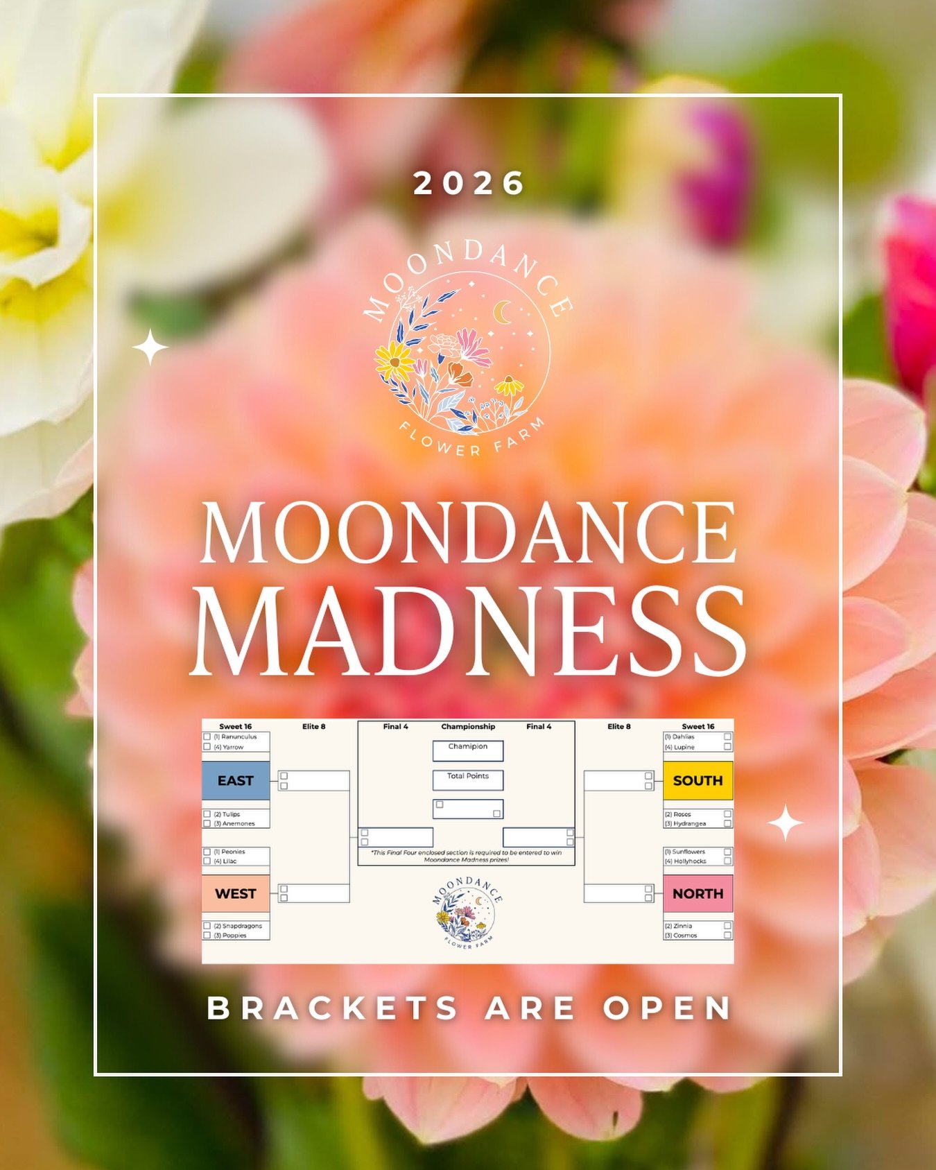 2026 BRACKETS ARE OPEN! 🌸🏆

Moondance Madness 2026 is officially live, and we can&rsquo;t wait to see your Final Four picks.

To enter for prizes:
1. Comment MADNESS and we&rsquo;ll DM you the sign-up link for our enewsletter
2. Once you signup, yo