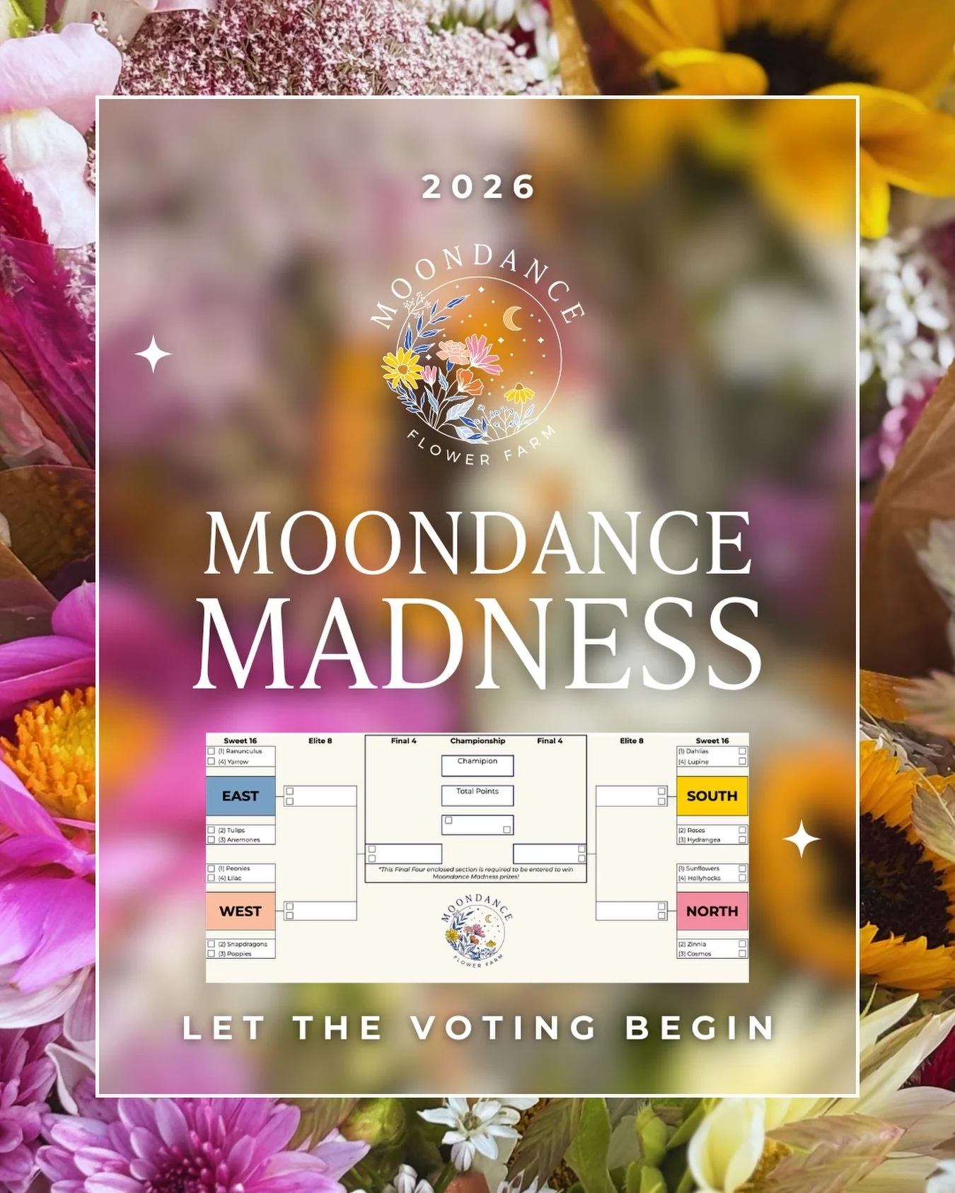 IT BEGINS. 🌸🏆

Moondance Madness 2026 is officially underway, and the Sweet 16 matchups are live in our Stories.

Sixteen fan-favorite blooms.
Head-to-head battles.
One champion.

Every flower in this bracket is grown right here at Moondance: organ