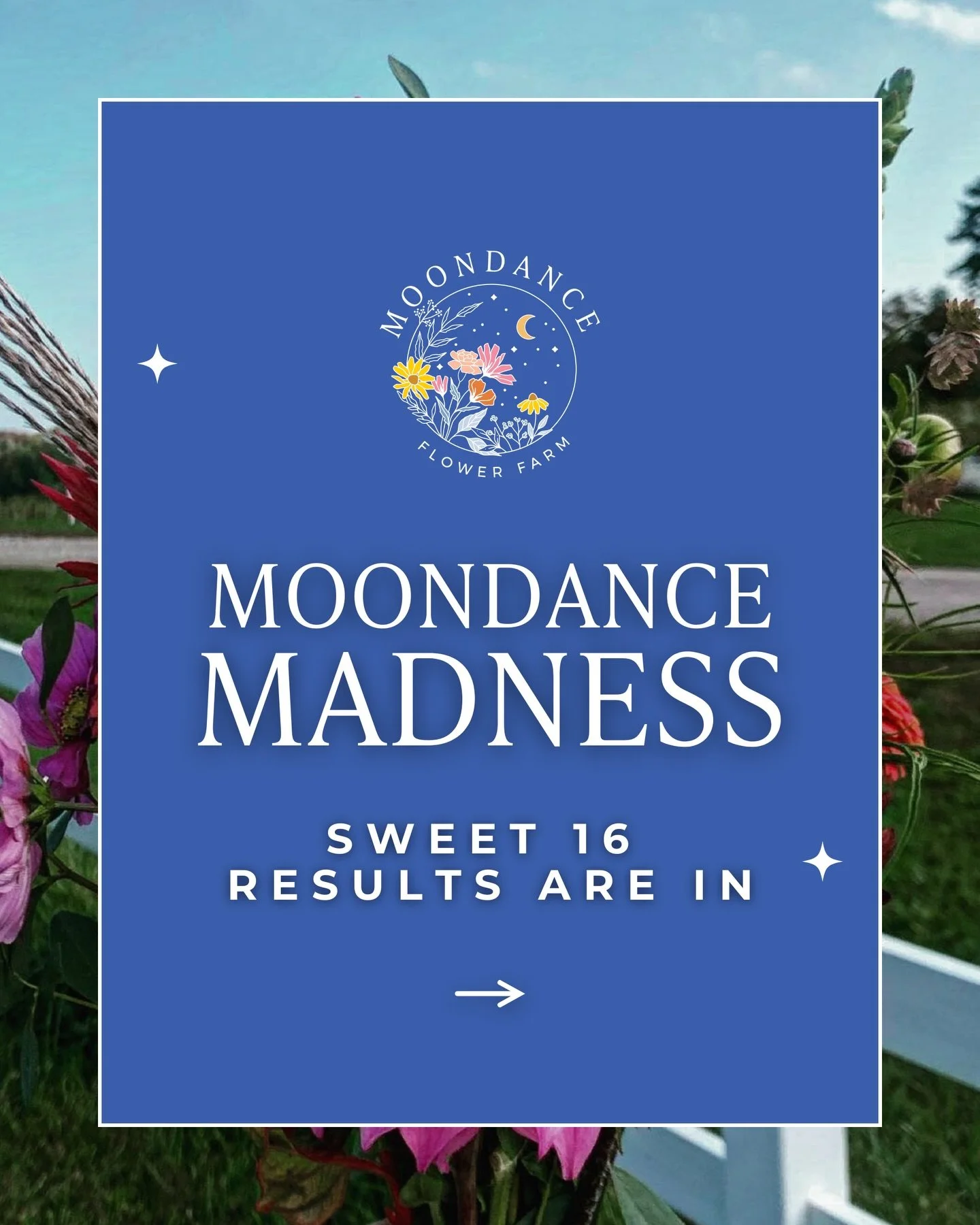 After a week of voting in our Stories, the field has officially narrowed, the Sweet 16 has bloomed into the Elite 8. 🌸🏆

Swipe to see which flowers advanced, then check out the updated bracket + a peek at these winning blooms in real wedding-day ma