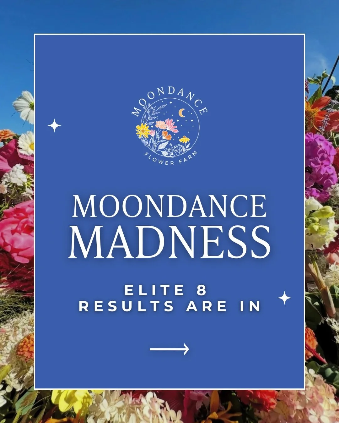 The Elite 8 results are in 🌸🏆

After another week of voting, the bracket has narrowed and the competition is only getting tougher. Some favorites held strong, and a few matchups kept us guessing until the very end!

Now we&rsquo;re headed into the 