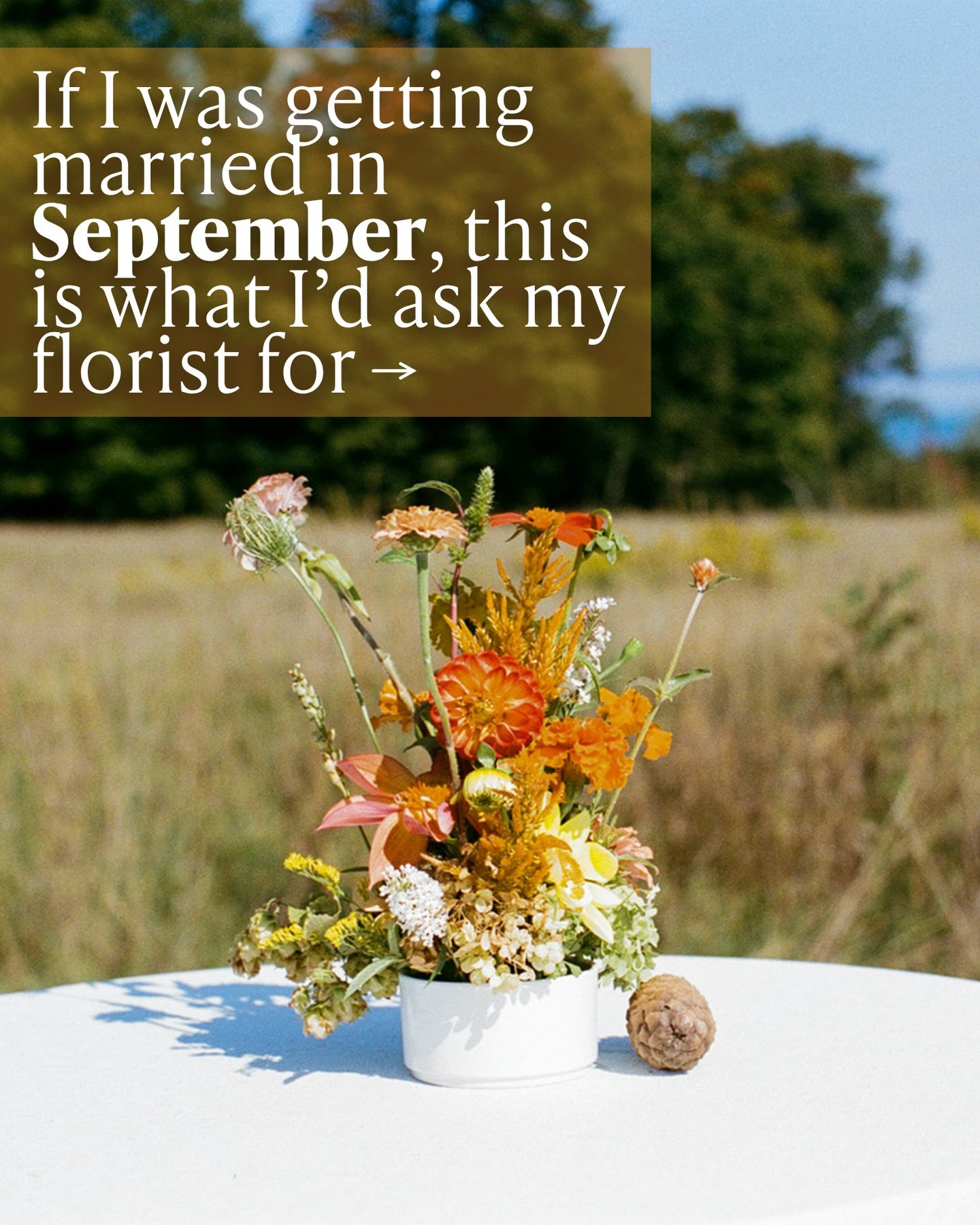 Seasonal flowers aren&rsquo;t designed to match a palette, they&rsquo;re designed by the season itself.

In September, that looks like dahlias, zinnias, cosmos, hydrangea, and all the textured, late-summer blooms that make arrangements feel full, nat