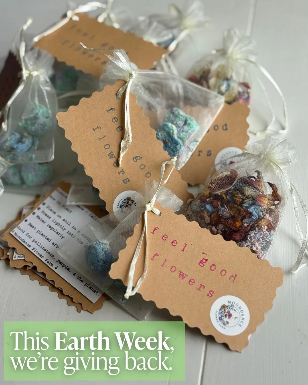 For Earth Week, we&rsquo;re doing something a little different 🌿

We&rsquo;re donating 100% of proceeds from our seed + flower bombs to an environmental nonprofit &ndash; but we&rsquo;d love your help choosing where it goes.

Drop an organization yo