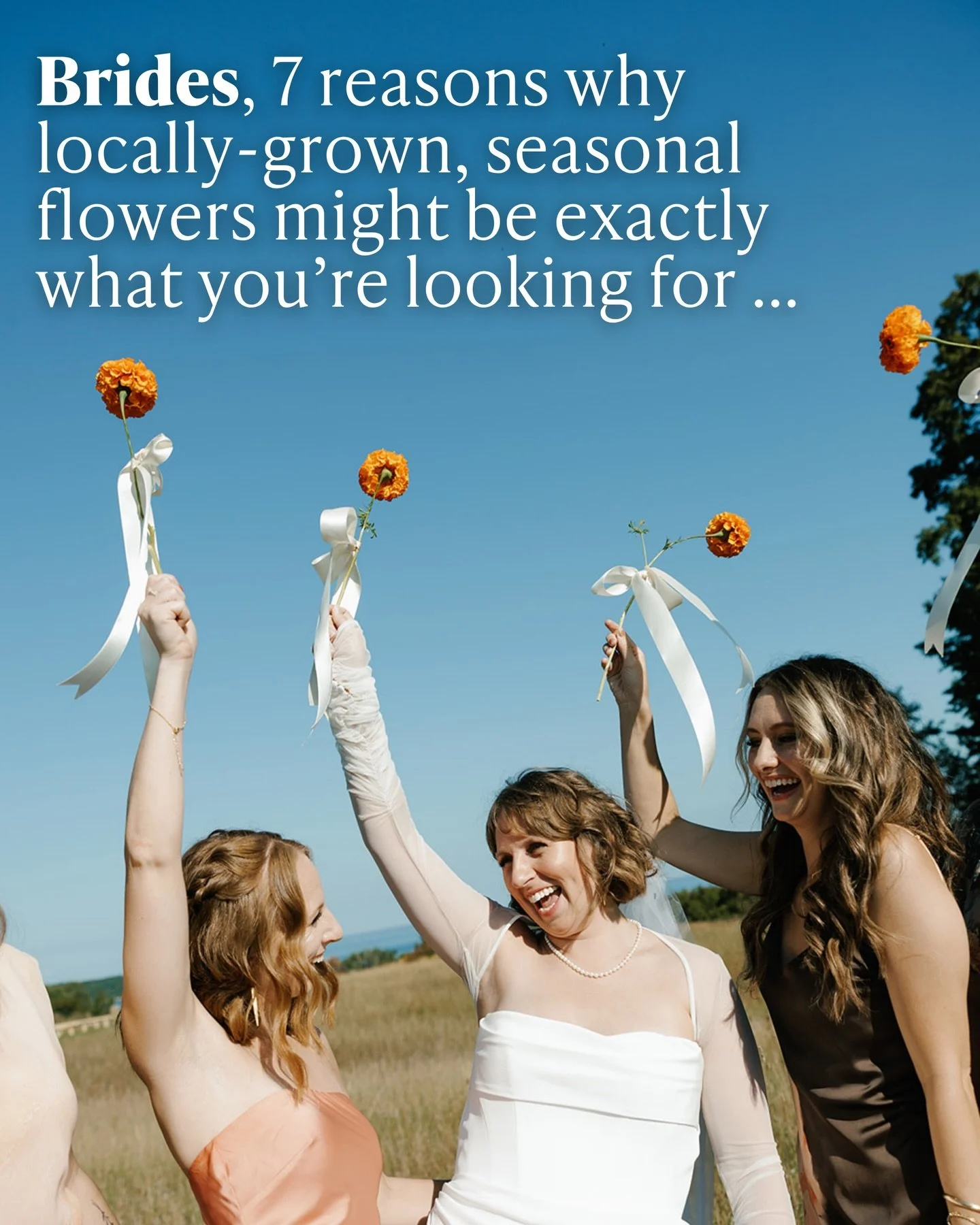 Seasonal flowers feel different, and it&rsquo;s hard to explain until you&rsquo;ve experienced them in person.

They&rsquo;re not designed to replicate a Pinterest photo.
They&rsquo;re shaped by the season itself.

The result is something more natura