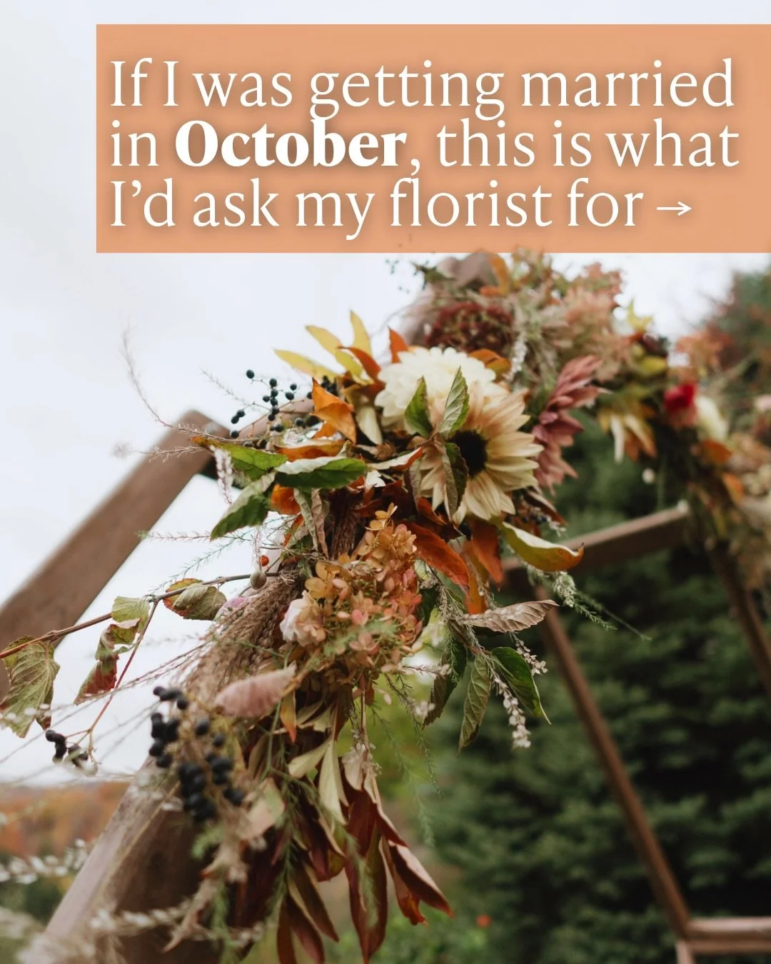 Seasonal flowers just feel different in October 🍁🌻

Dahlias, sunflowers, mums, and layers of texture, all coming together in a way that only happens this time of year.

Comment SEASONAL for our Seasonal Blooms for Northern Michigan Weddings guide.
