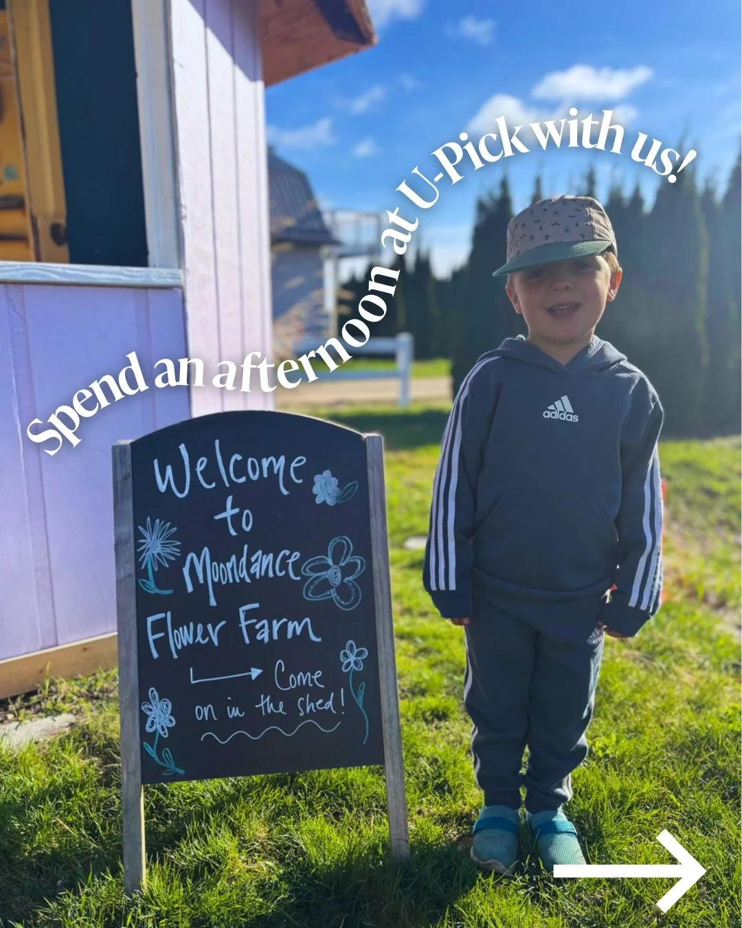 Farmer Levi wants to show you how simple it is to spend a magical afternoon at Moondance&rsquo;s U-Pick! 

1. Start at the purple flower shed 
2. Grab any supplies you might need 
3. Head into the field and follow the signs
4. Cut stems as you go and