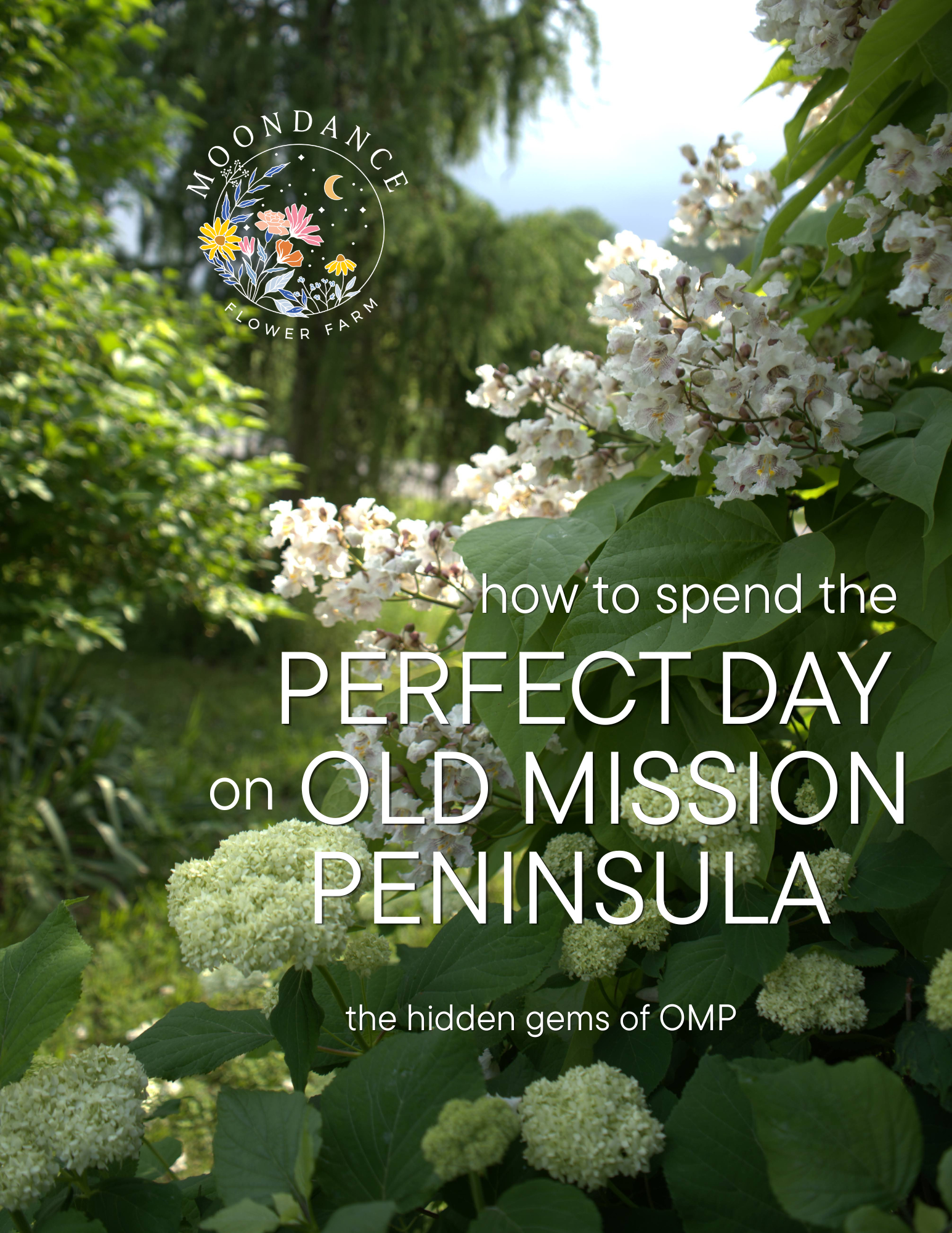 How to spend the perfect day on Old Mission Peninsula