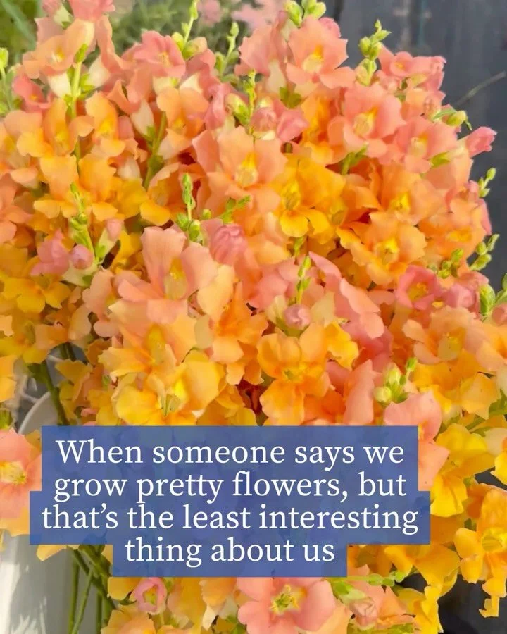 We&rsquo;ll happily accept &ldquo;pretty&rdquo;. ☺️

But there&rsquo;s a whole lot more going on behind the scenes. Come see for yourself!

#moondanceflowerfarm
#traversecityflorist
#oldmissionpeninsulaflorist
#northernmichiganweddingflorist
#michiga