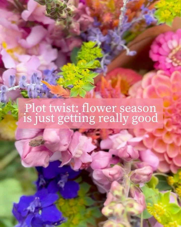 Just when summer starts winding down, the field gets richer, wilder &amp; more abundant. 🌸

Our final flower subscription of 2026 begins August 26, bringing you six weeks of lush bouquets designed with whatever is blooming most beautifully that week