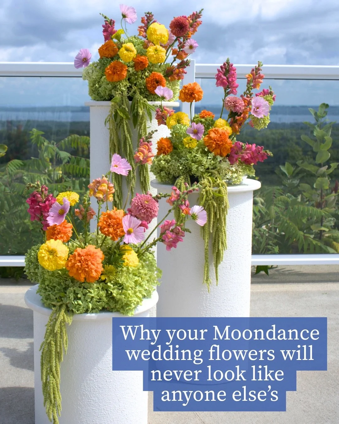 Why does every Moondance wedding get different flowers? Because we don&rsquo;t design from recipes.

Long before your wedding day, we&rsquo;ll know your colors, your venue, your priorities &amp; how you want your flowers to feel. What we won&rsquo;t 