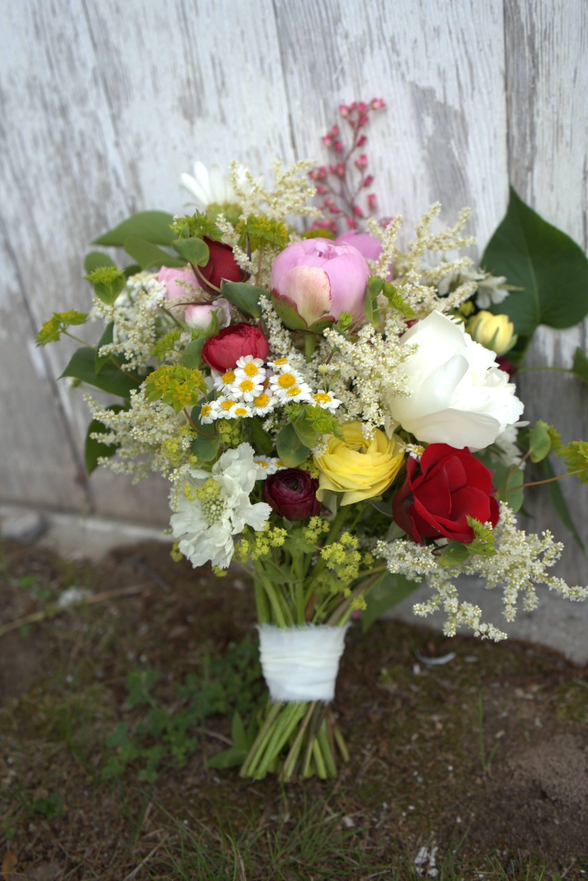 DSC01740.ARW.jpg
