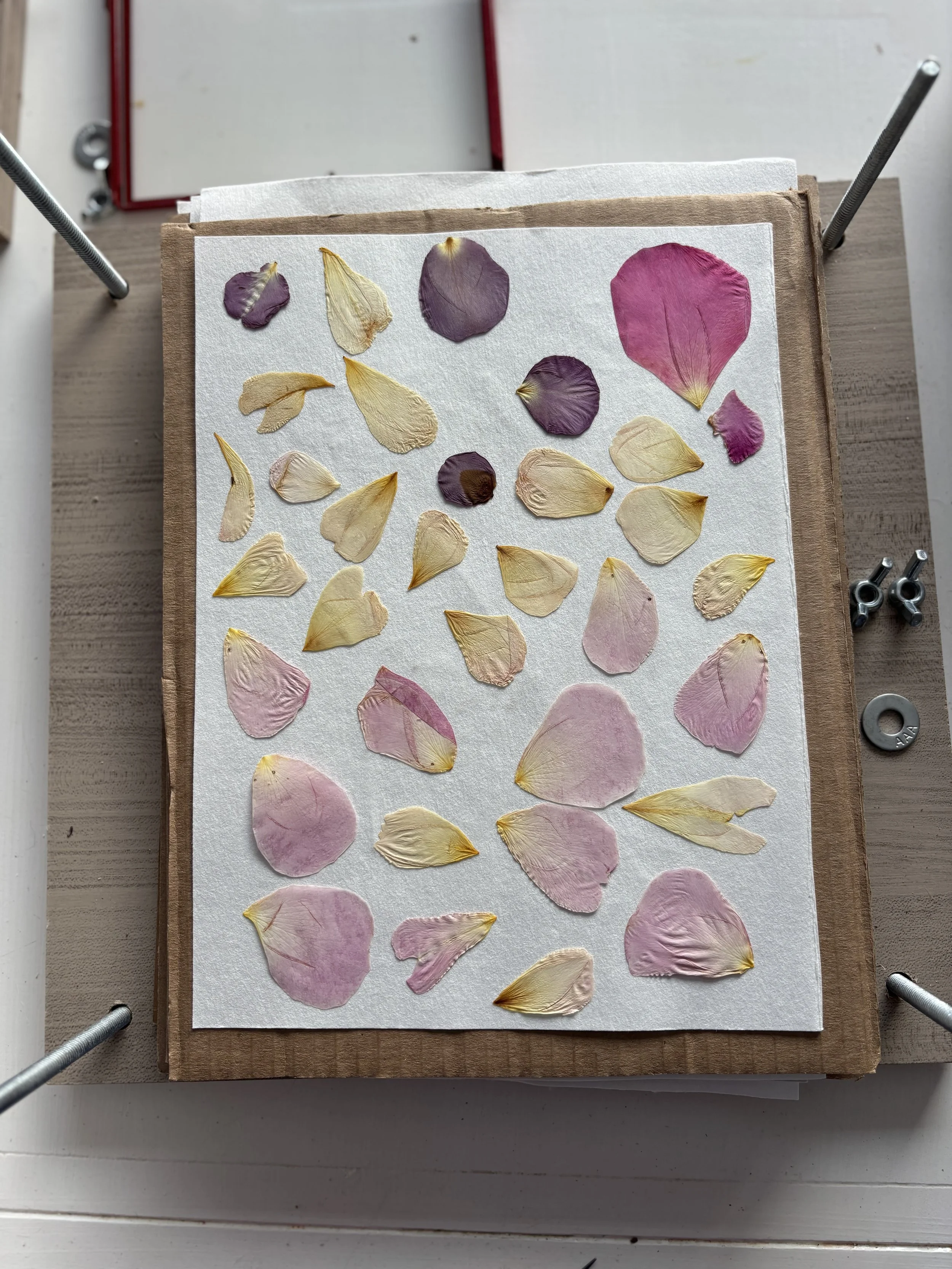 FLower press.jpeg