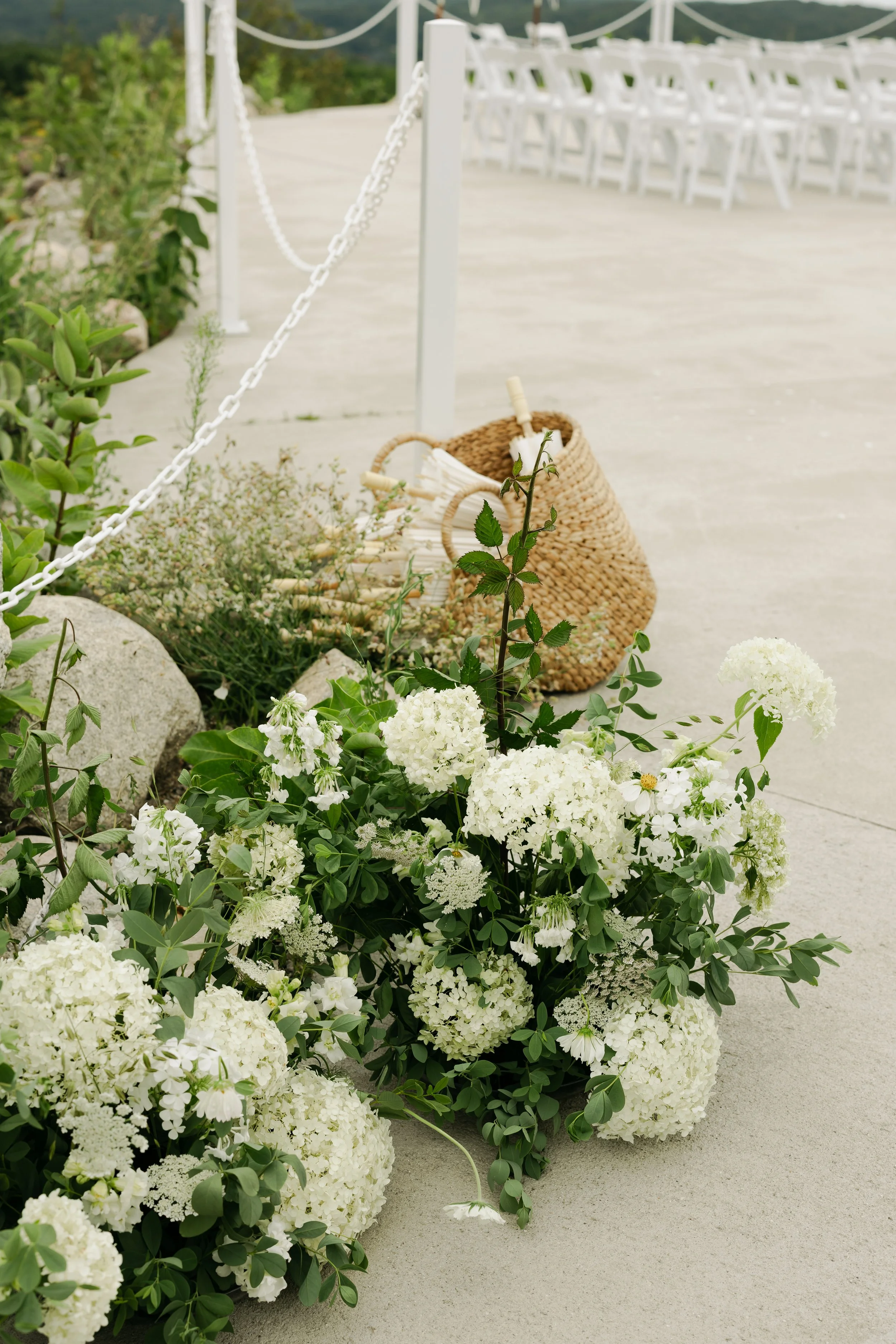CARLYLYNNEVISUALSLLC-3283.JPG