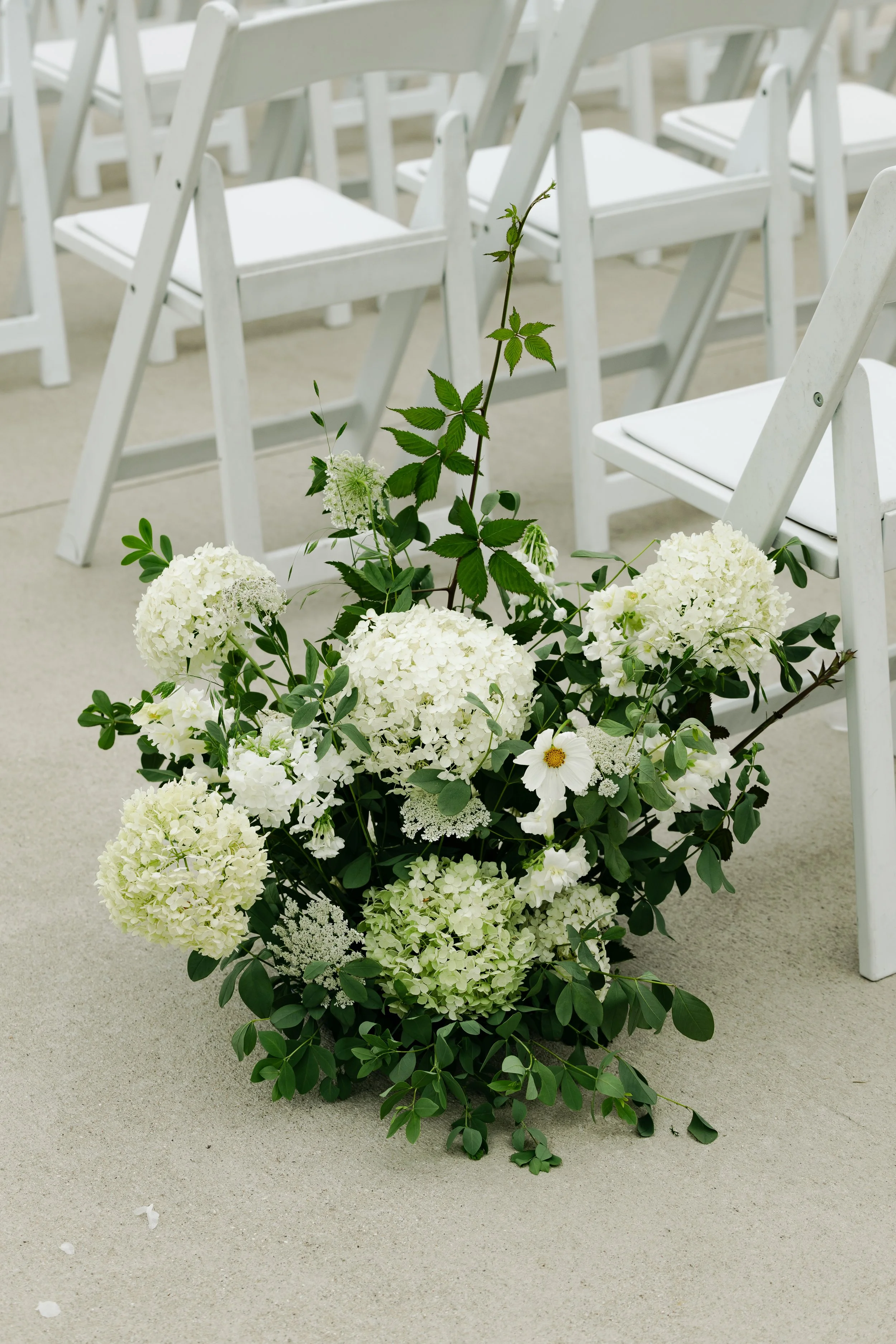 CARLYLYNNEVISUALSLLC-2838.JPG