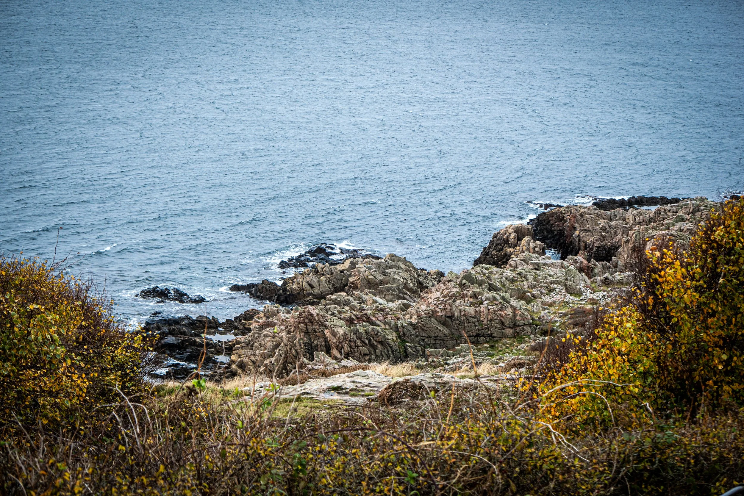 fotomg.4936.jpg
