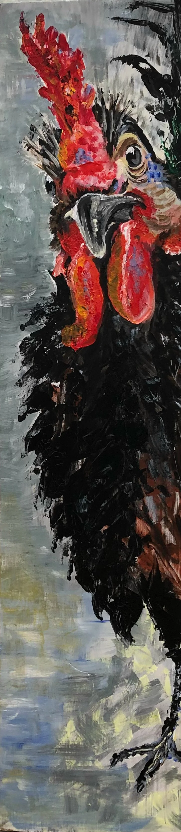 Blackcock.jpg