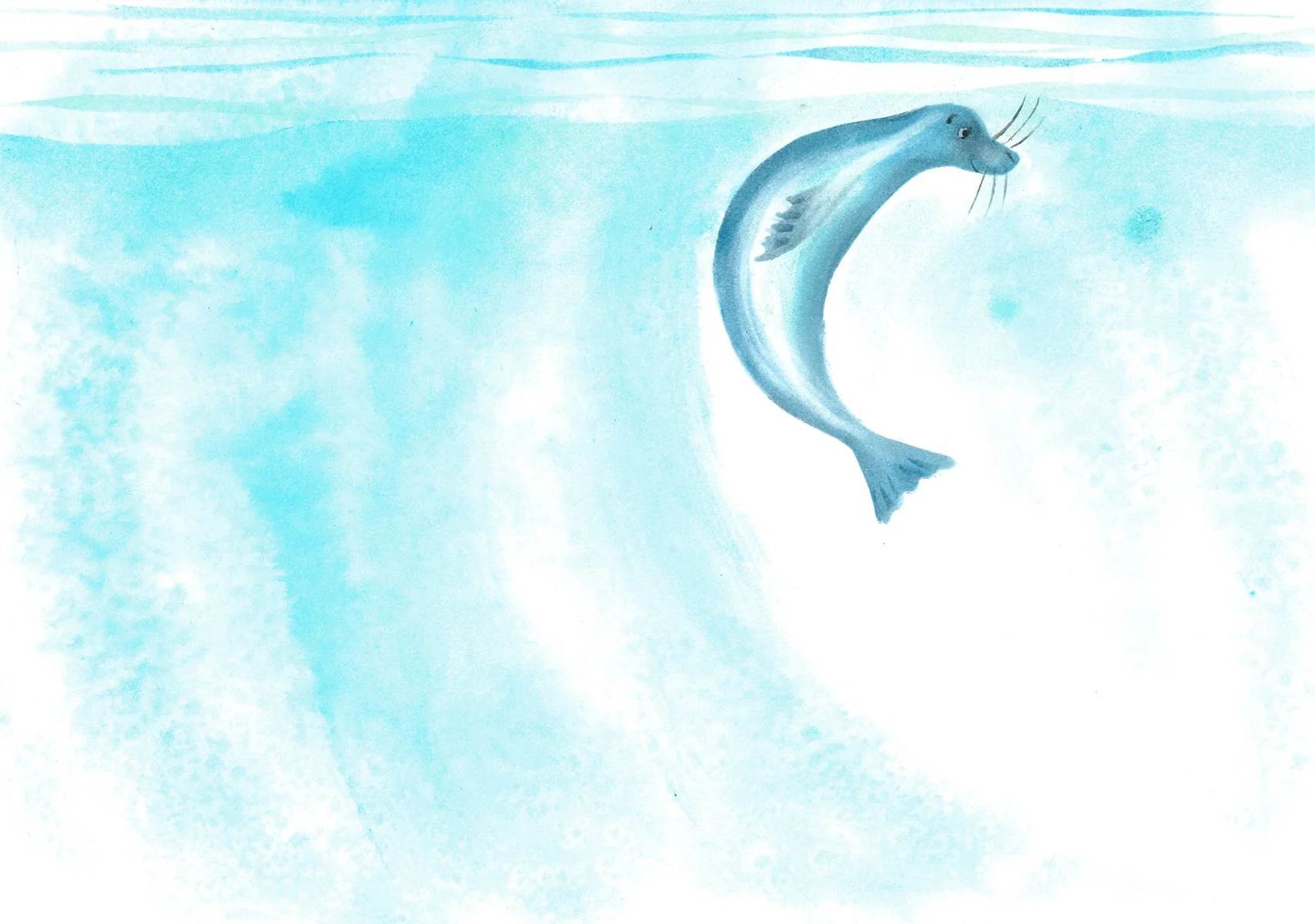 Calm seal illustration