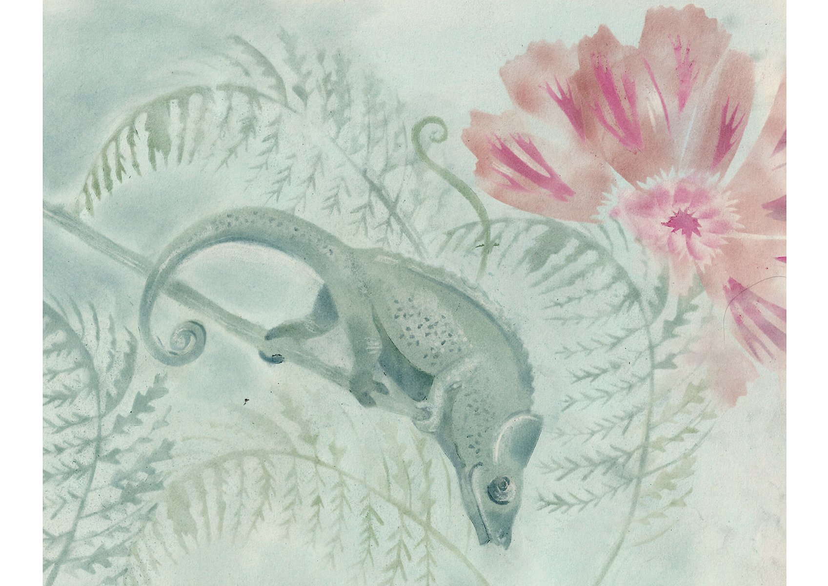 Chameleon children's book illustration