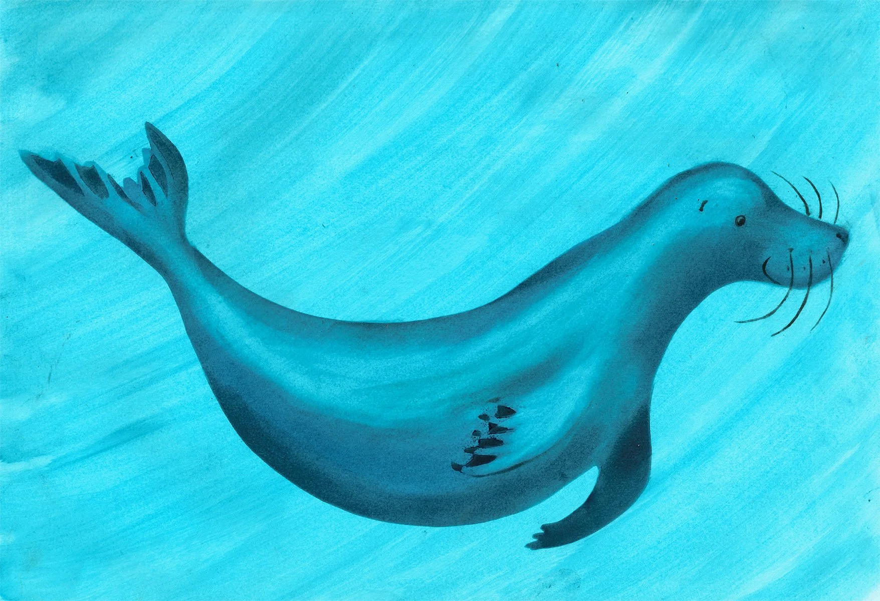 Seal picturebook illustration