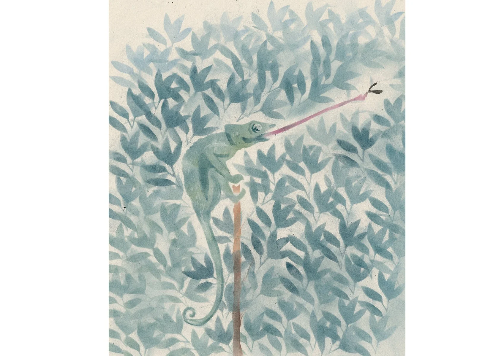 Chameleon catching fly illustration by Hannah Craig