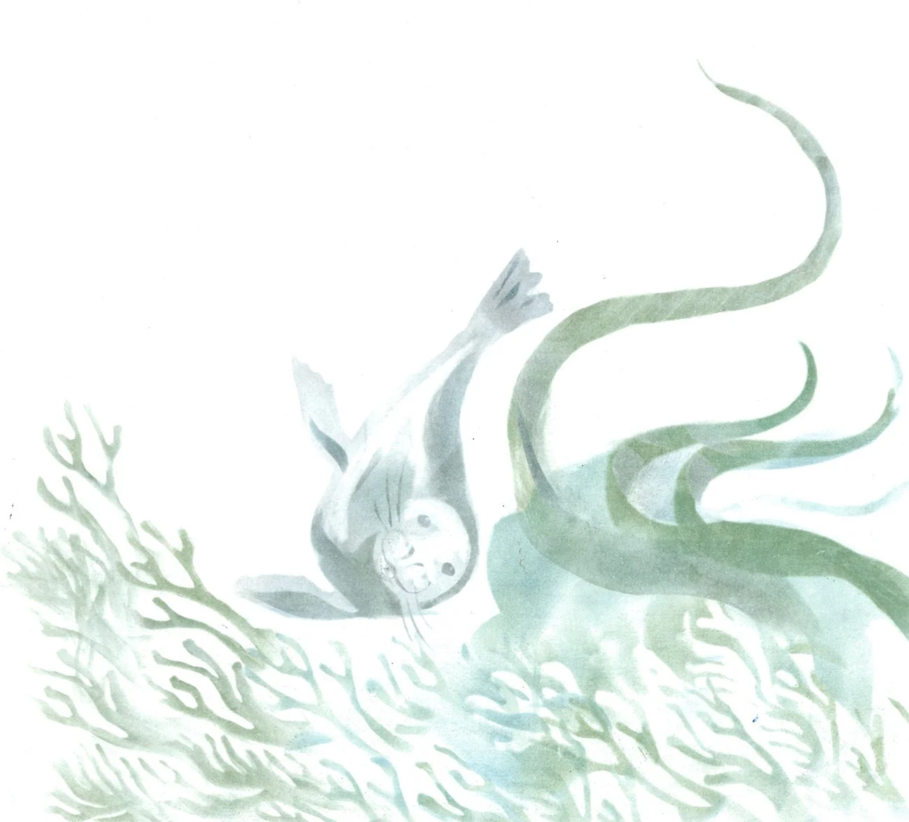 Seal illustration experiment