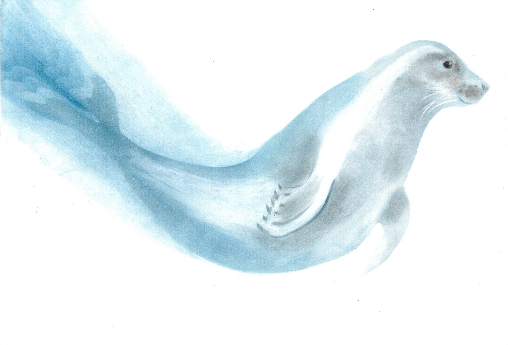 Seal art experiment