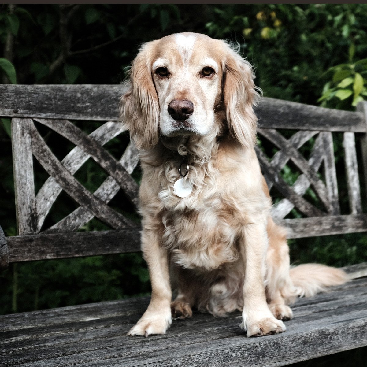 Managing The Menagerie
