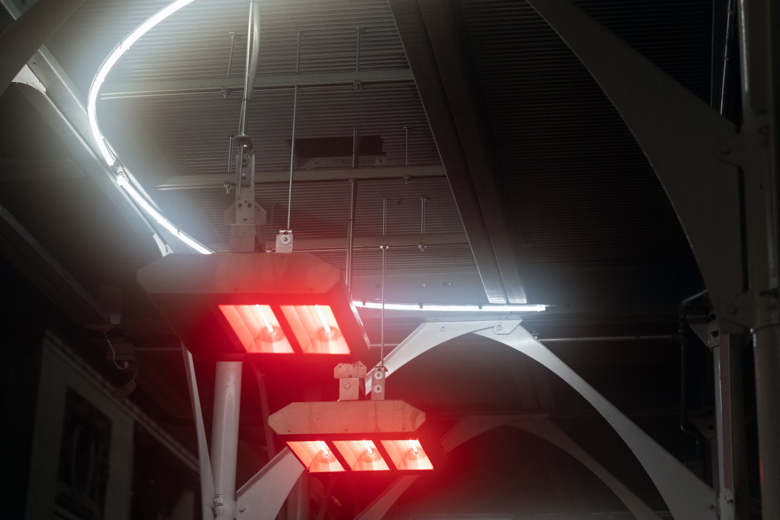 Bloom-Heatlights.jpg