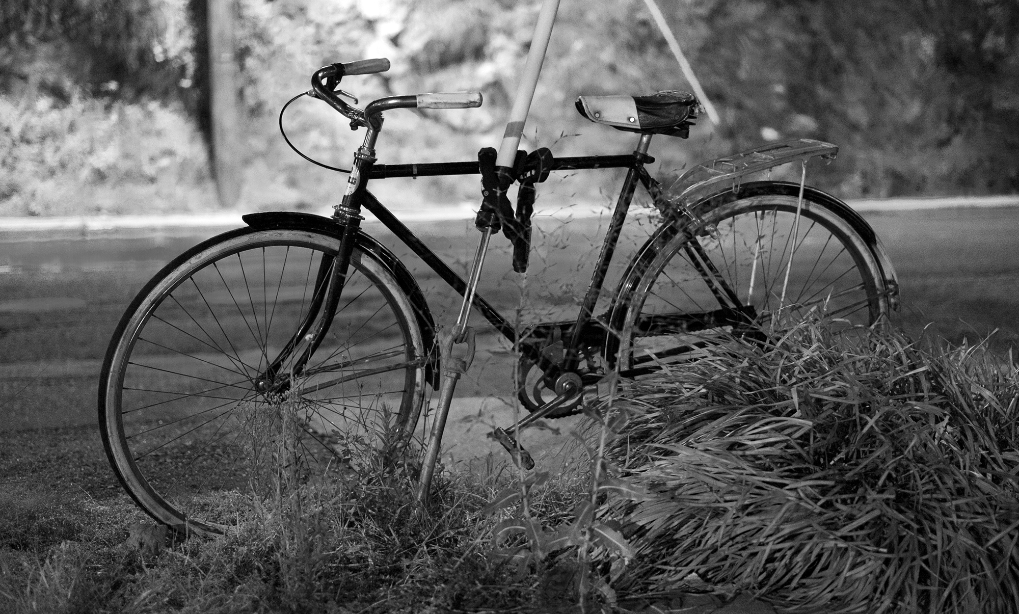 bike.png