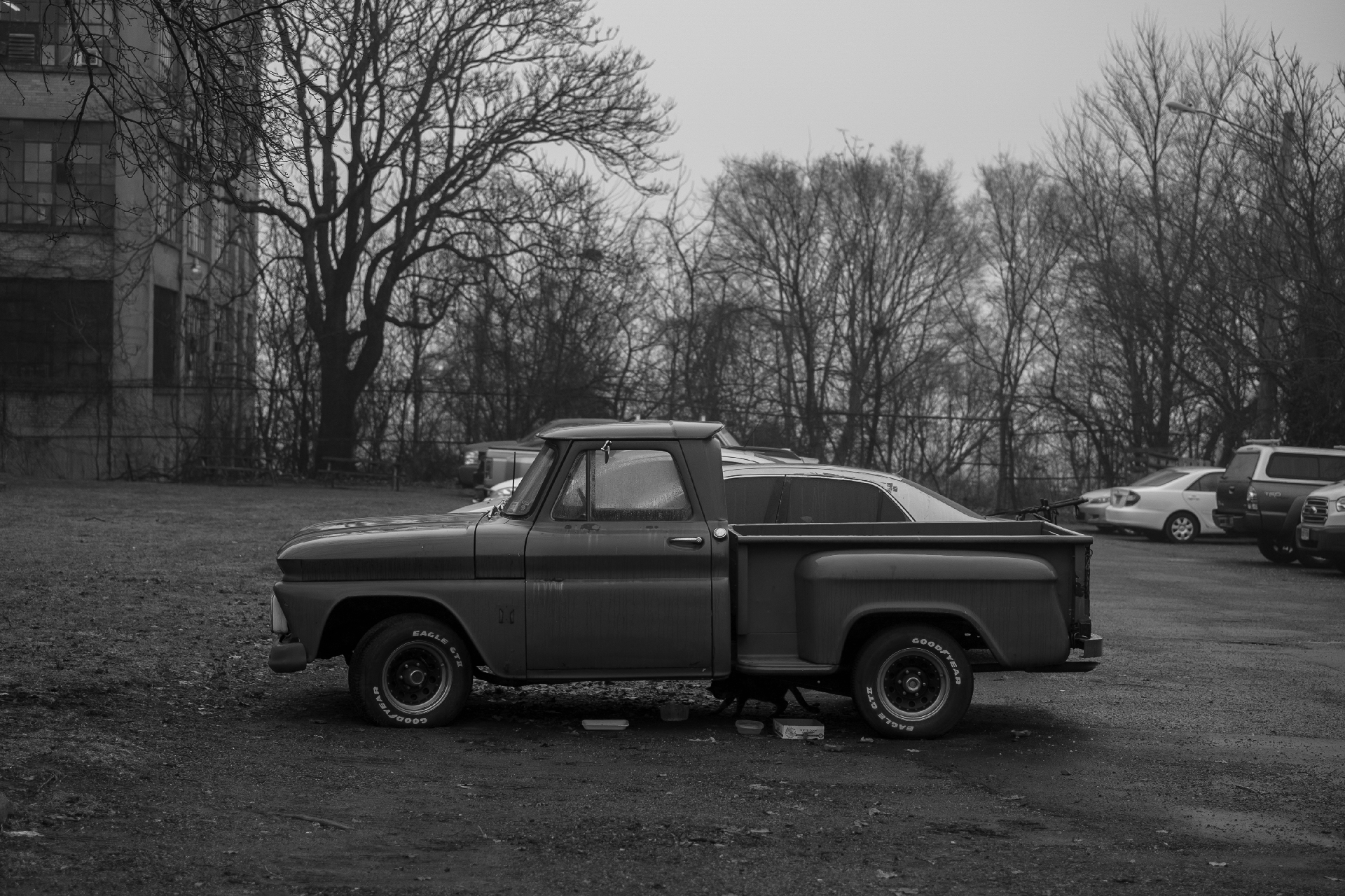 truck.png