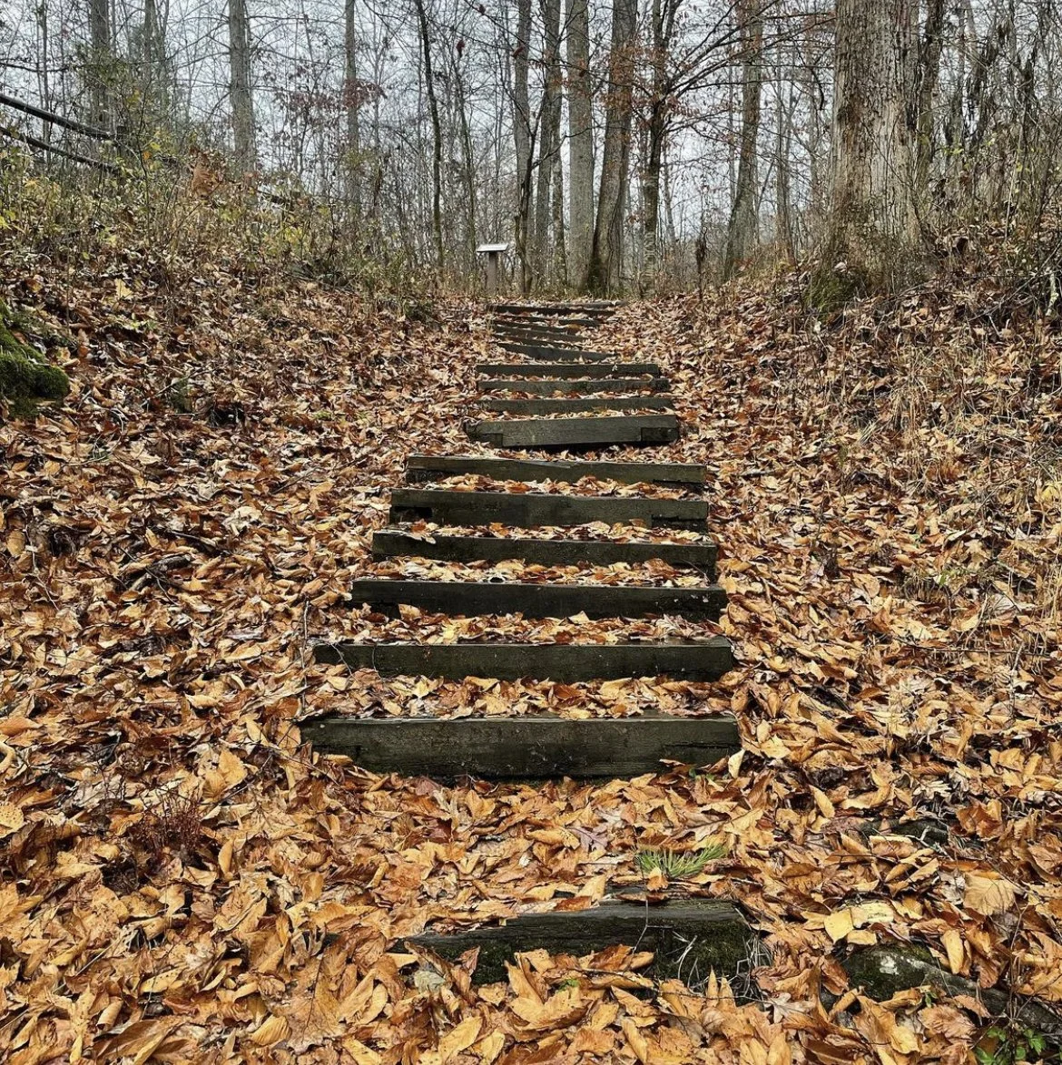 Best Hiking Trails in Red River Gorge for Beginners
