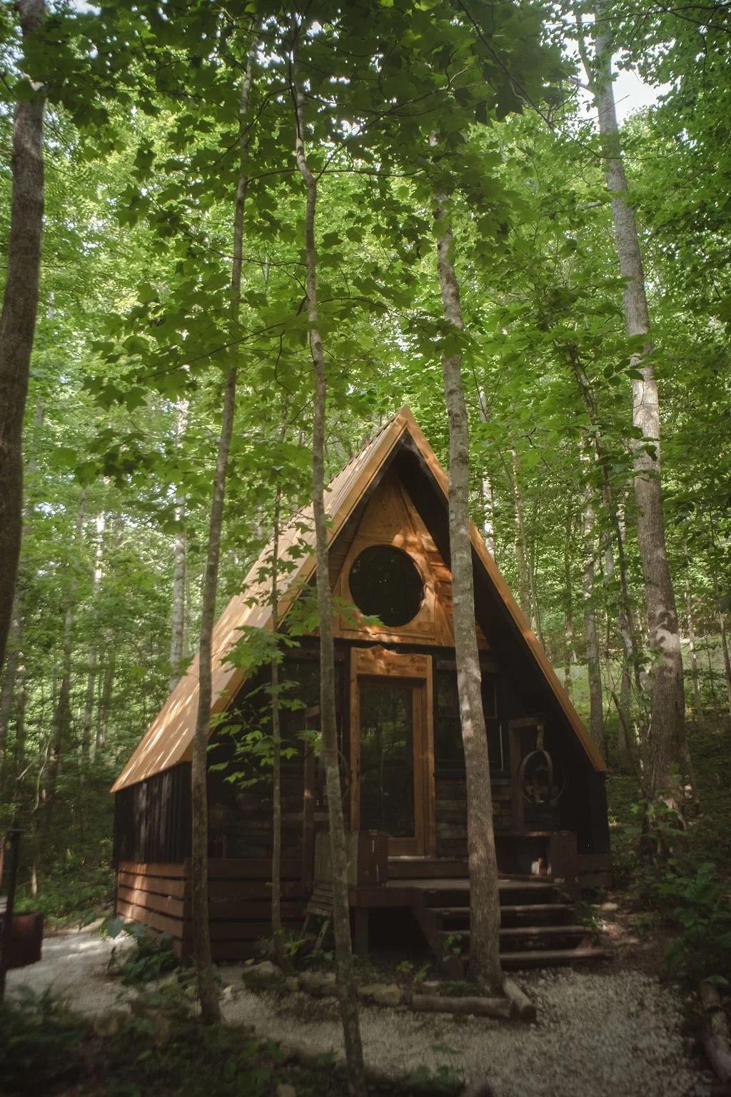 Anniversary Trips in Kentucky: Why Couples Are Choosing Red River Gorge for Romantic Getaways
