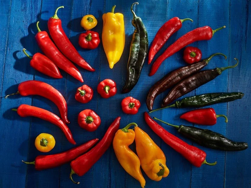 3. Genetics and Taste