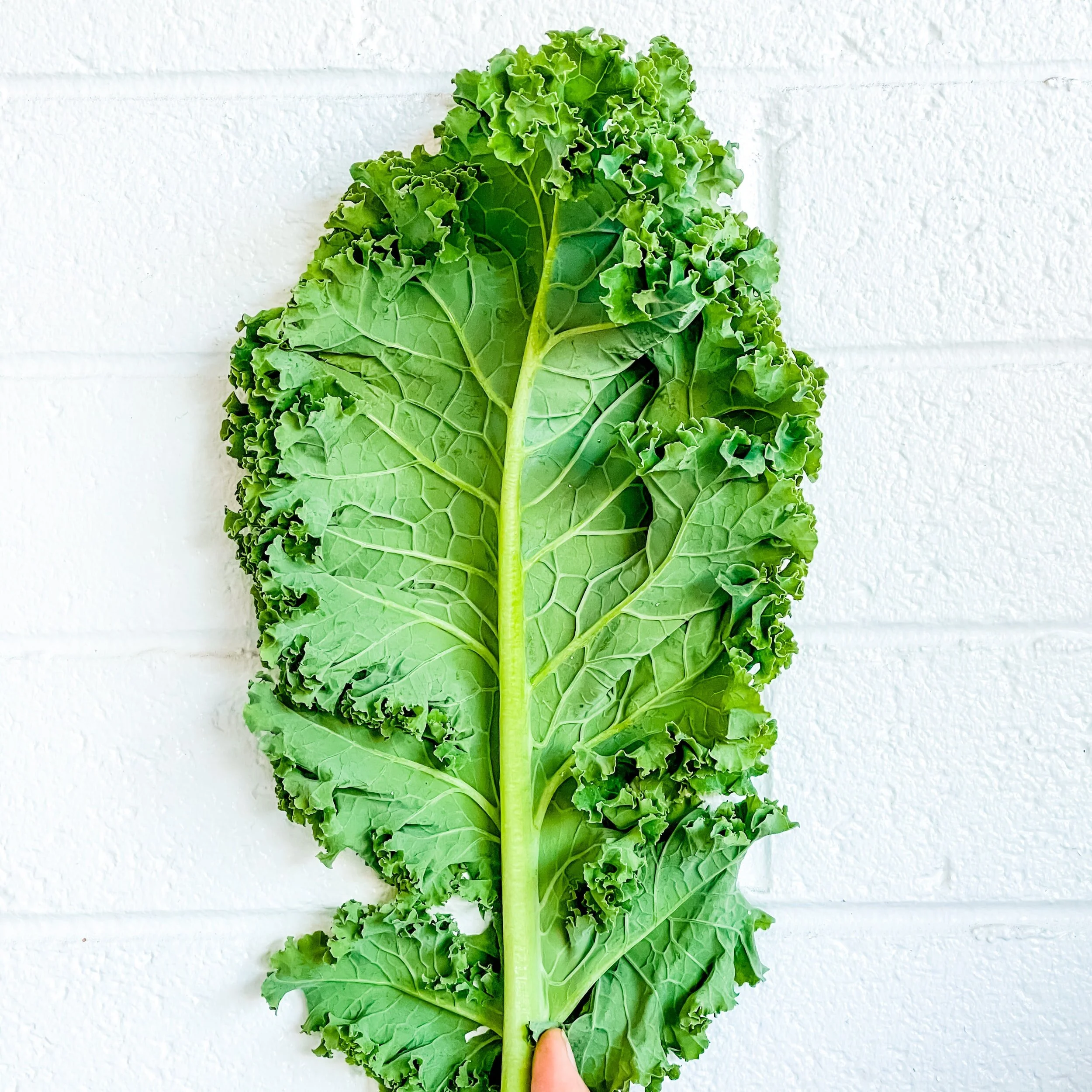 Kale Yeah! Why Kale Still Makes the Superfood List