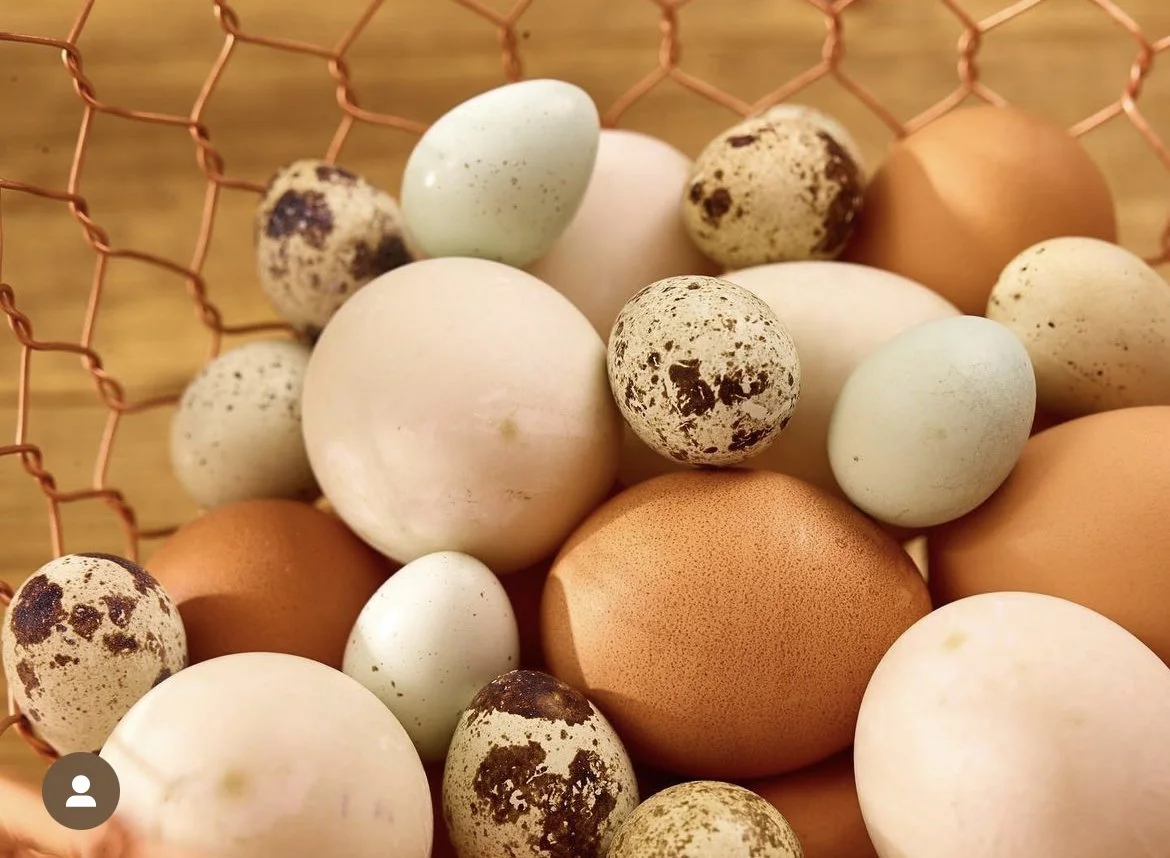 How to boil the perfect egg