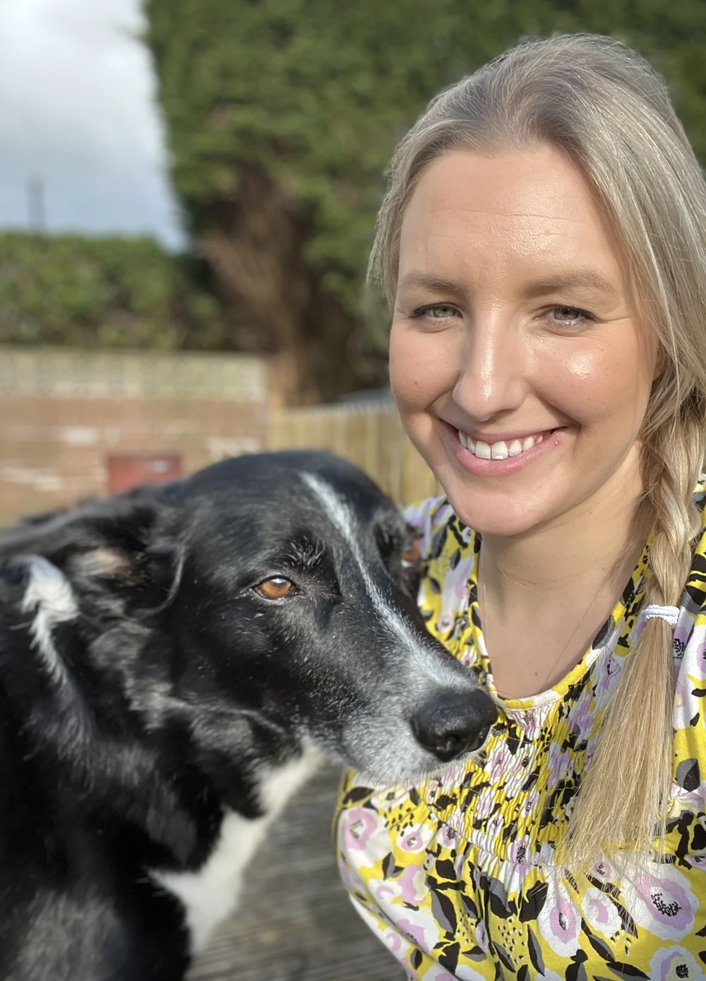 Me Not Pets Home Euthanasia