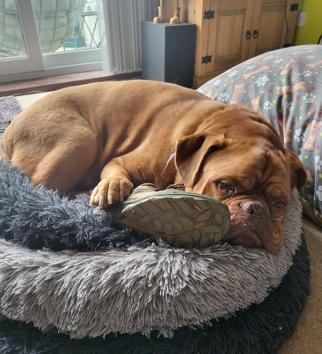 Screenshot 2025-10-07 at 14.17.33.png