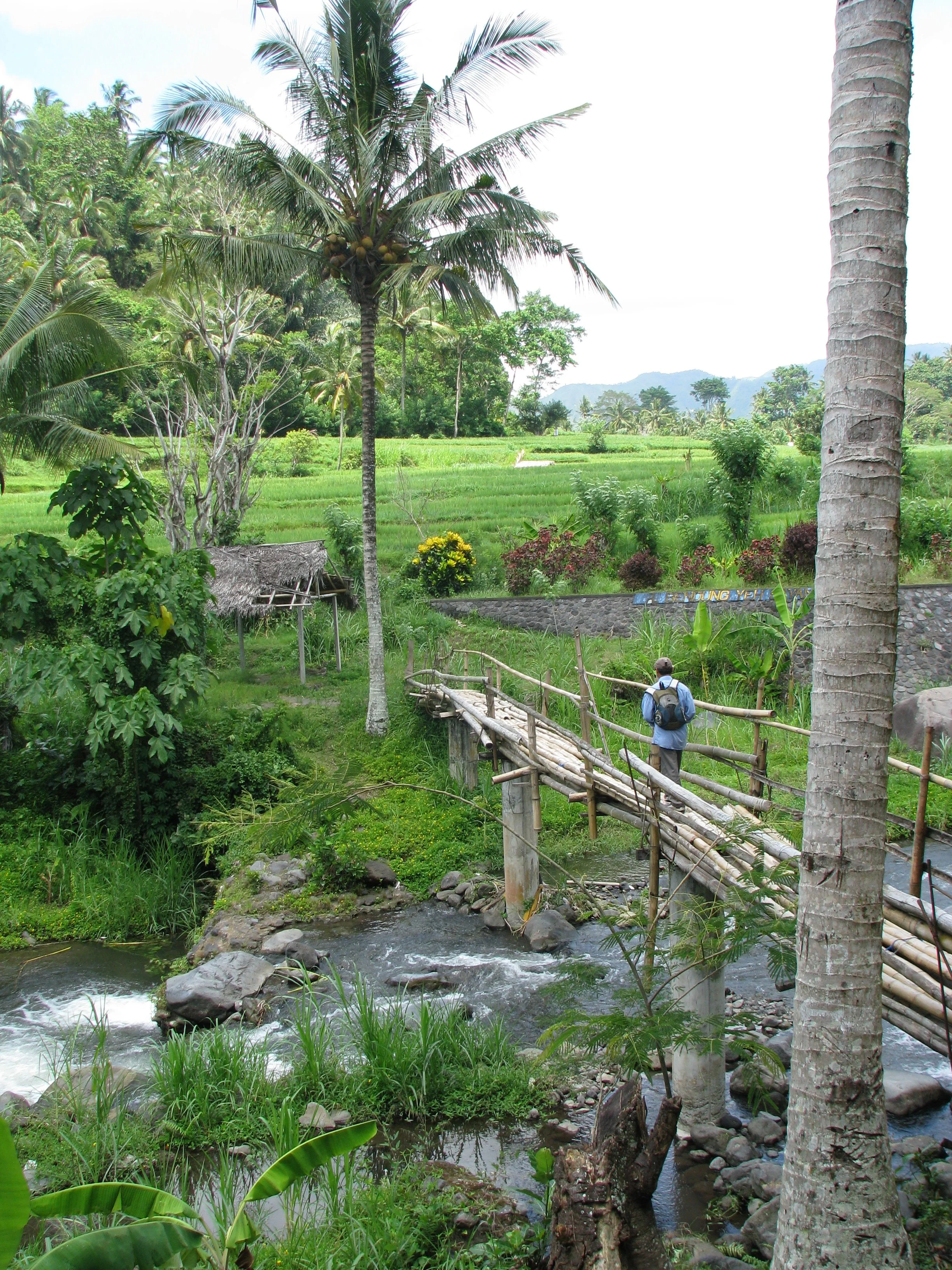 Trekking East-Bali.JPG