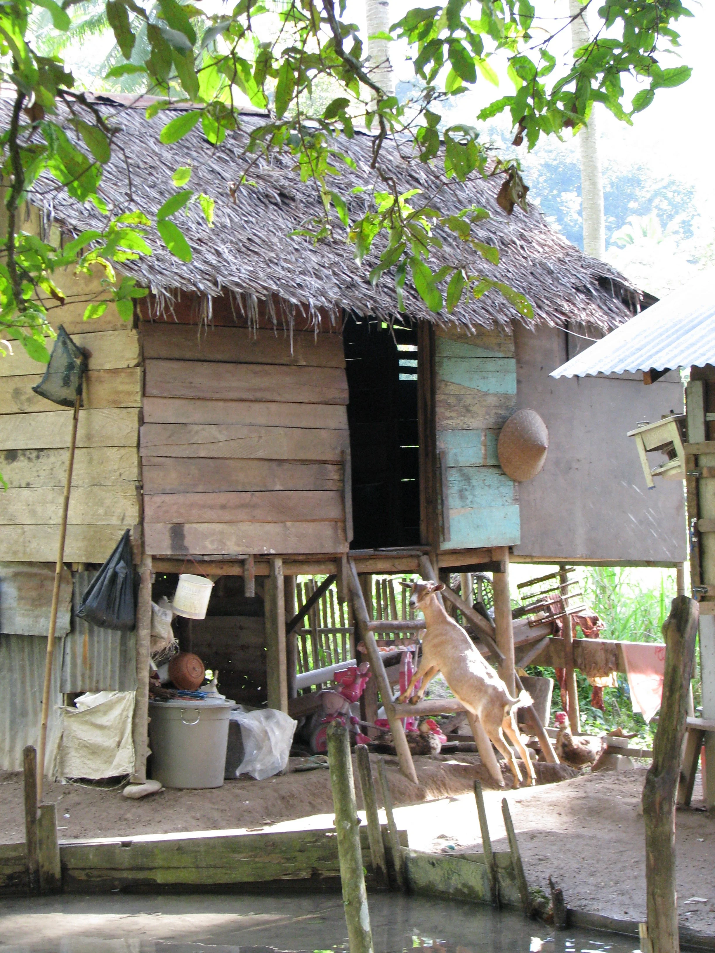 Along the Trans Sumatra Highway.JPG