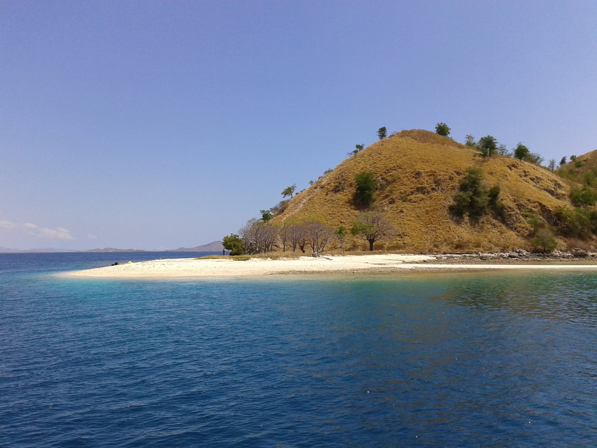 Snorkel paradise near Rinca.jpg
