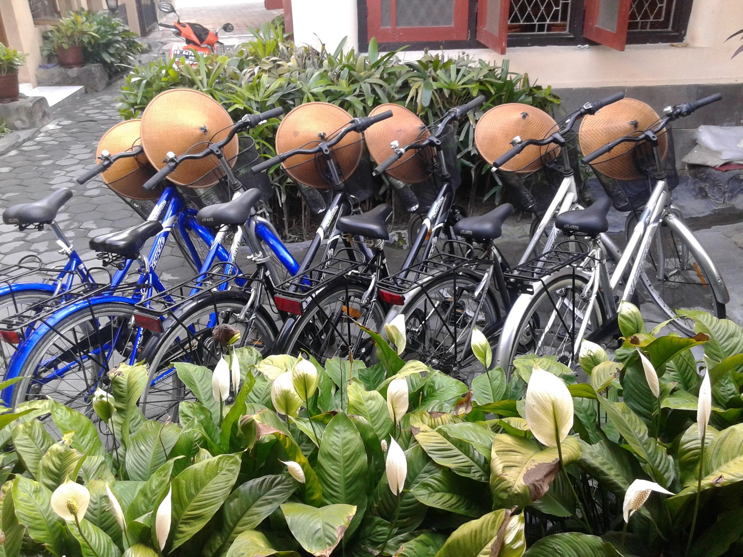 Redy for the kampung tour.jpg