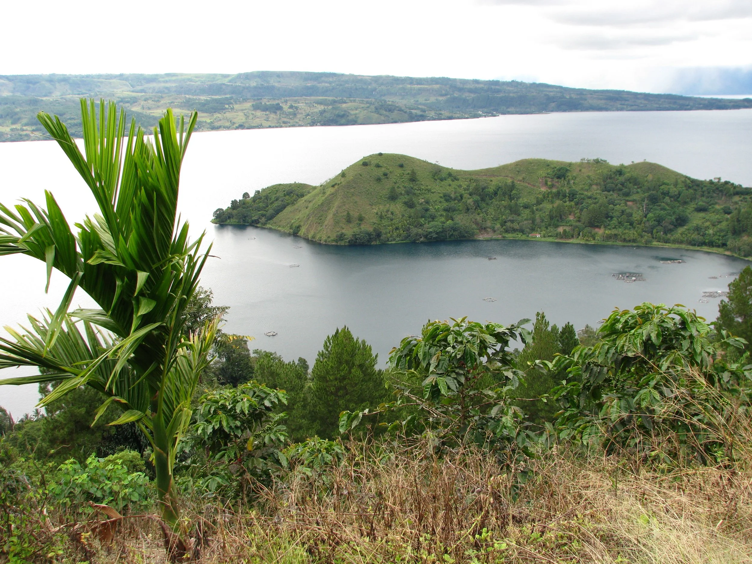 The beauty of Lake Toba.JPG